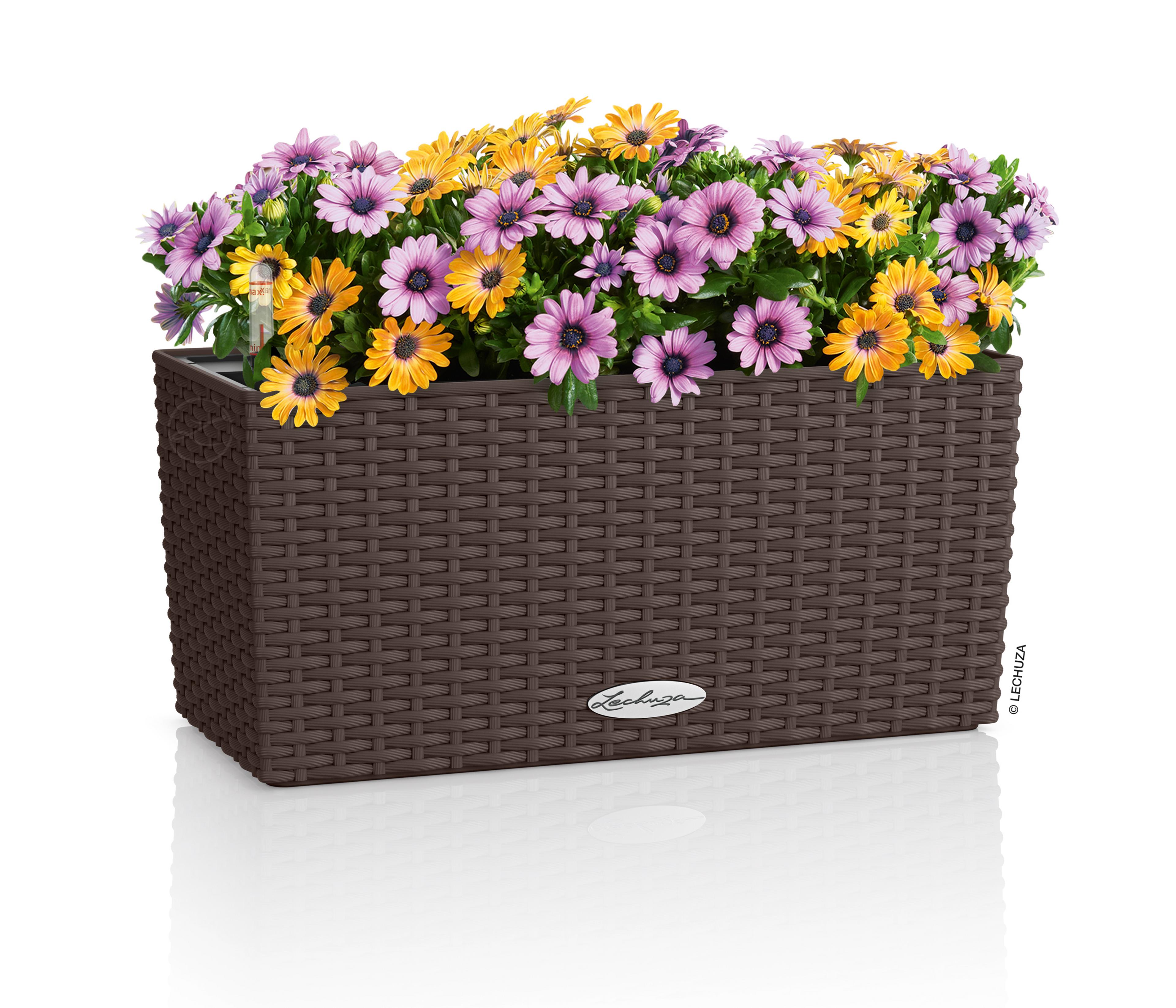 blumenkasten shabby Blumenkasten Zink Shabby – Gweny´s Haus main image 1
