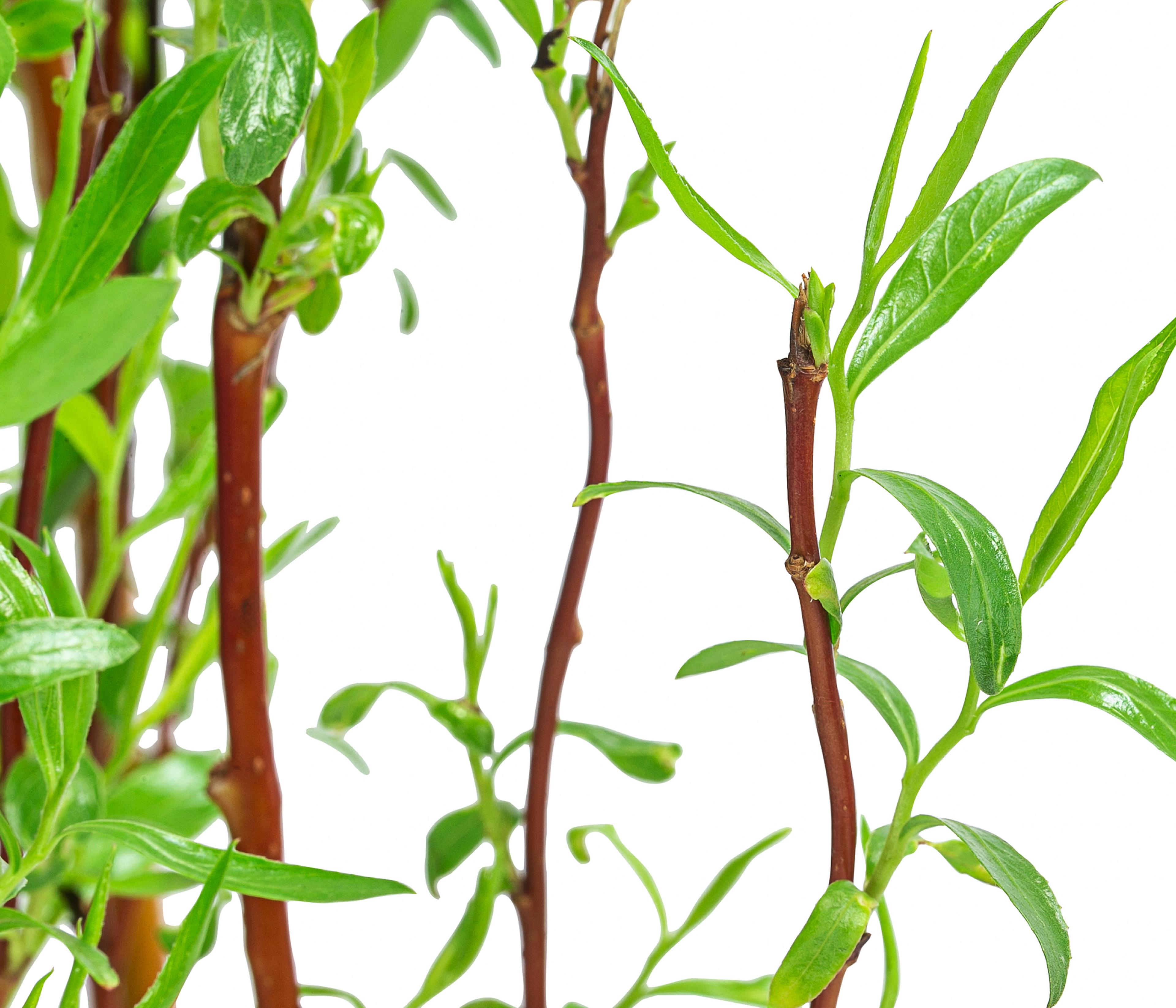 Produktbild 2