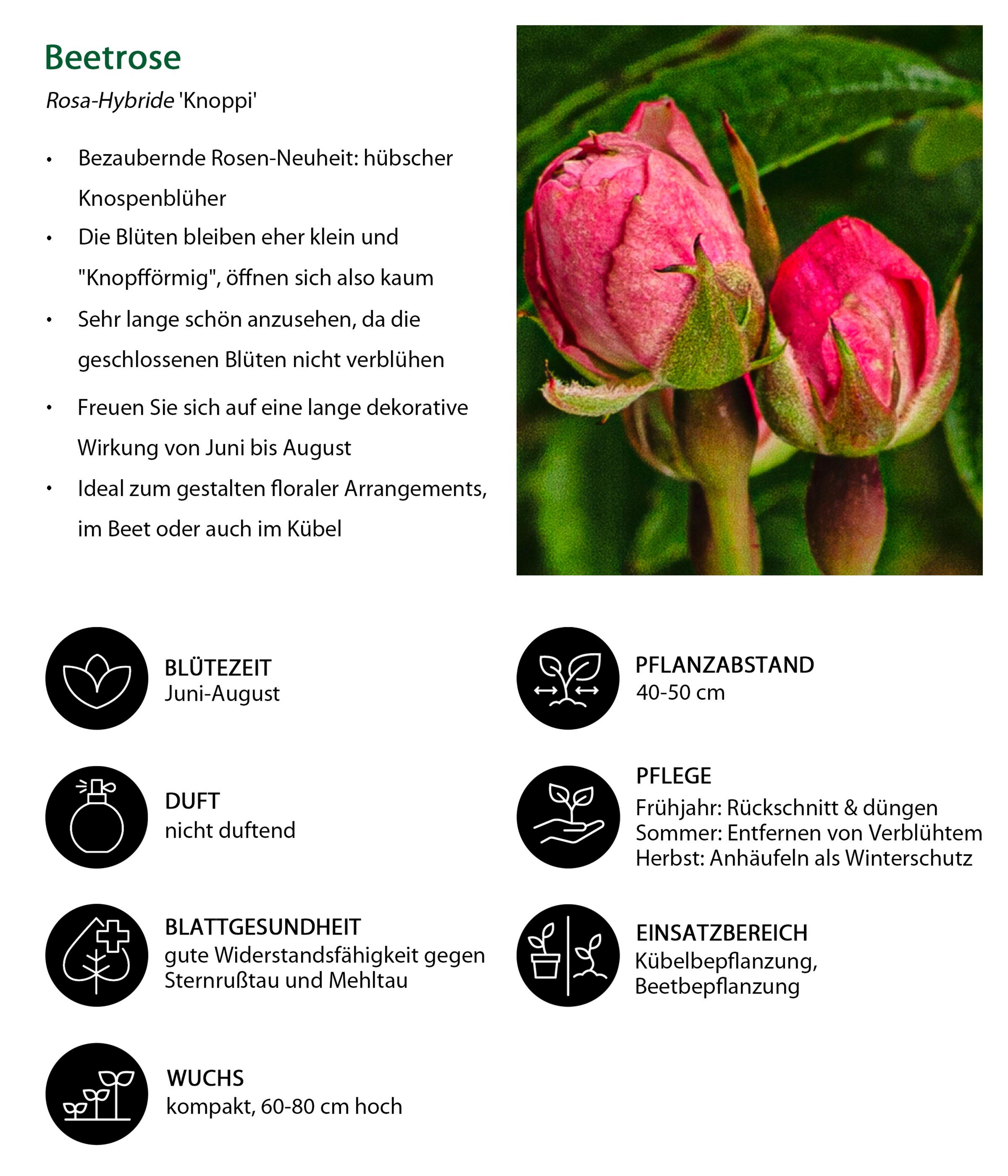 Produktbild 5