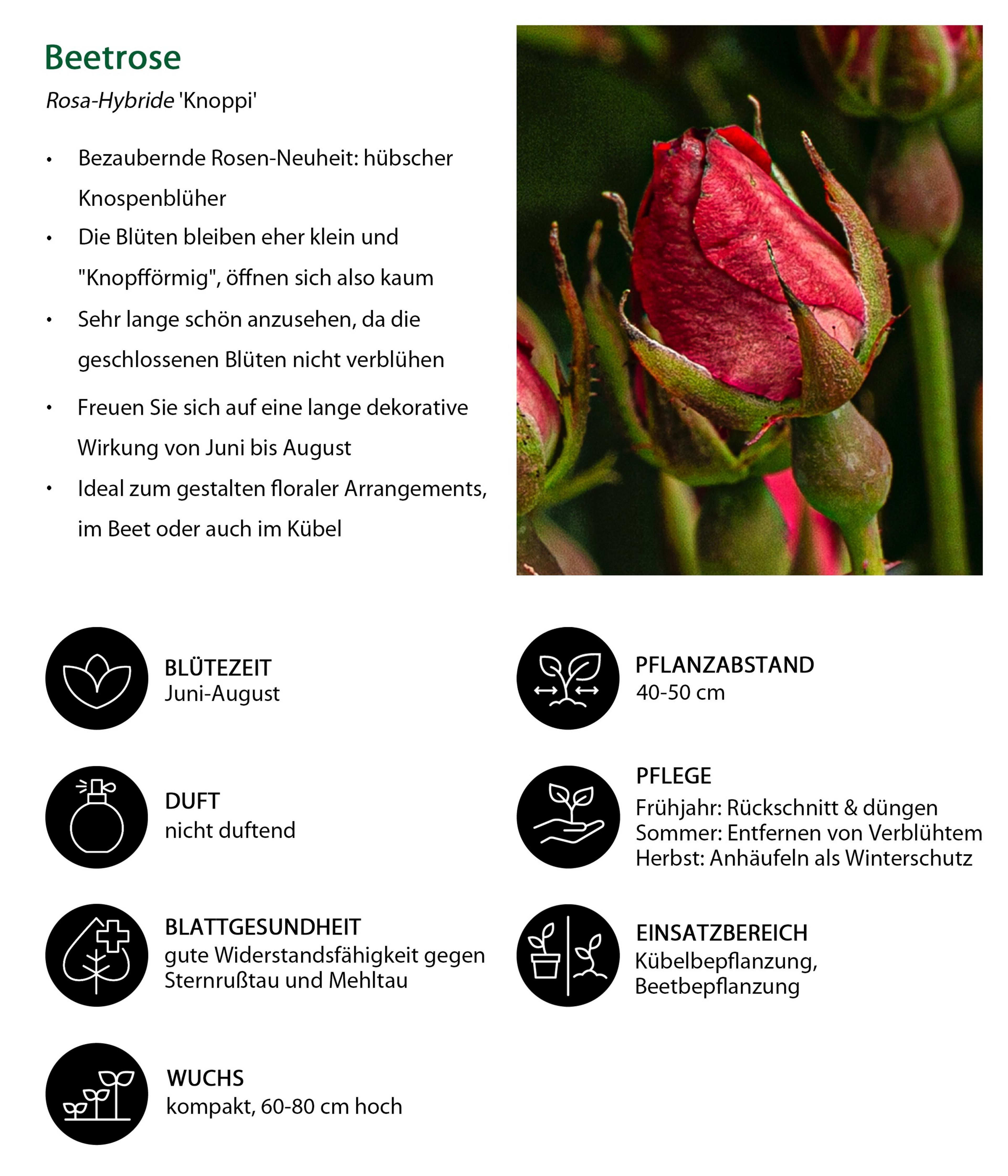 Produktbild 5
