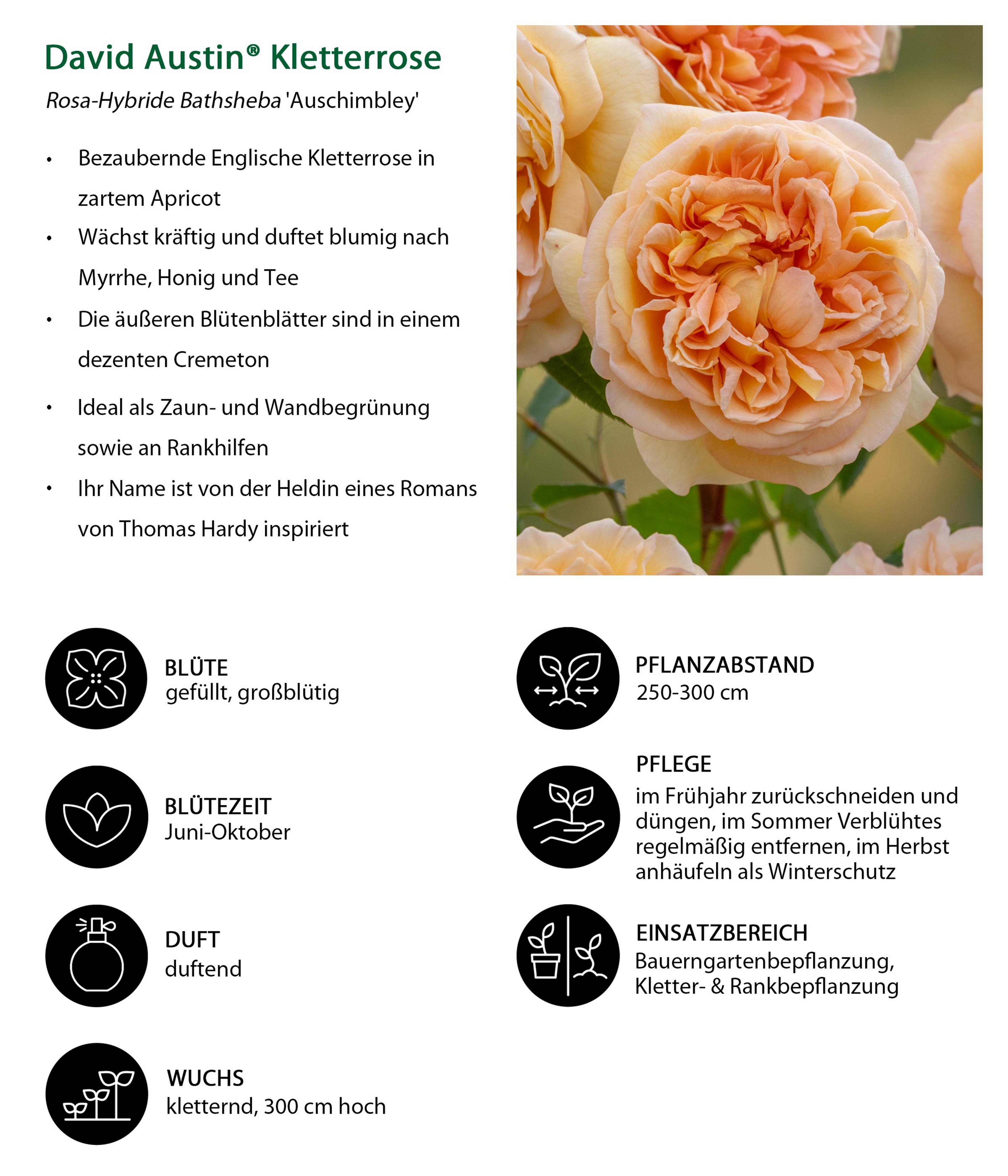 Produktbild 2