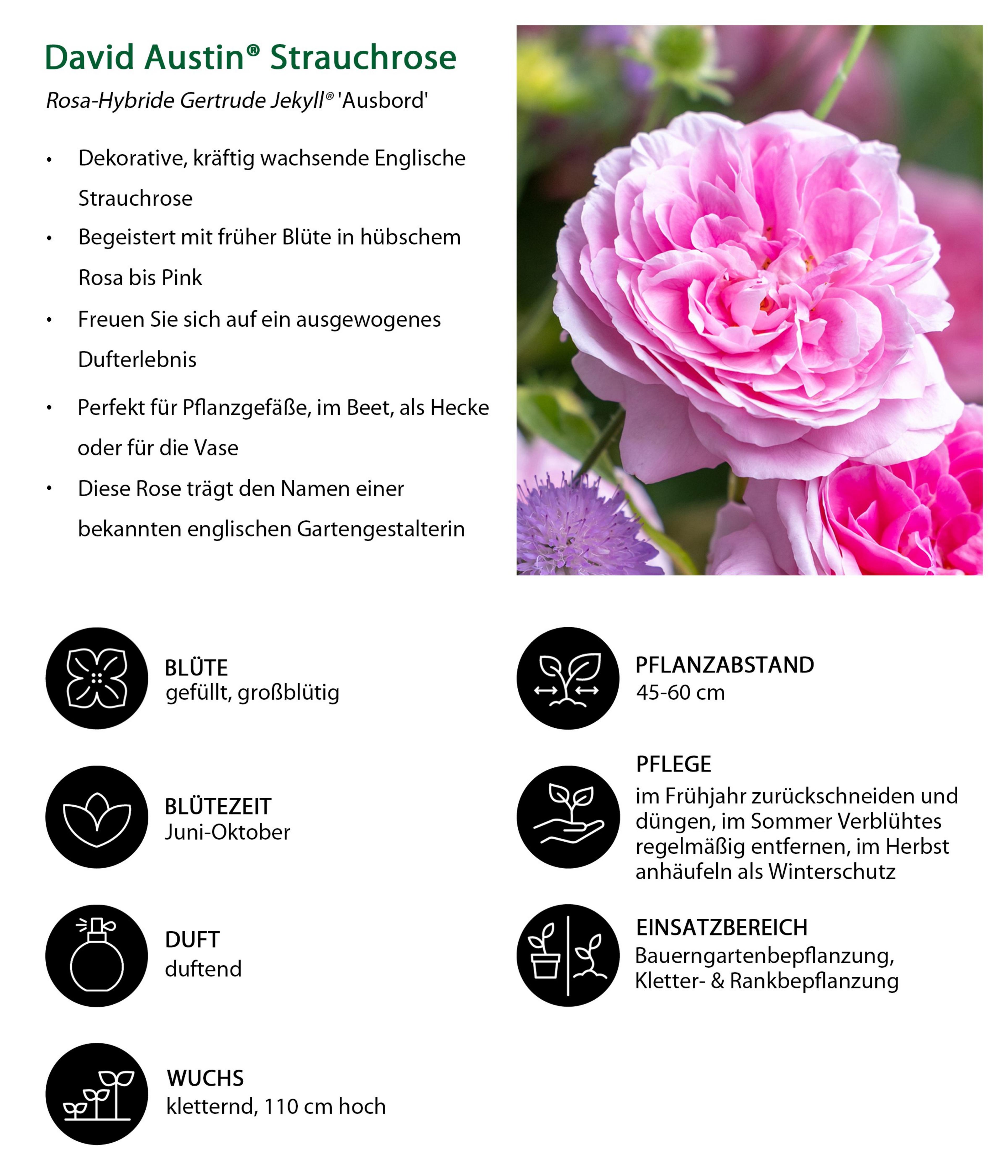 Produktbild 5