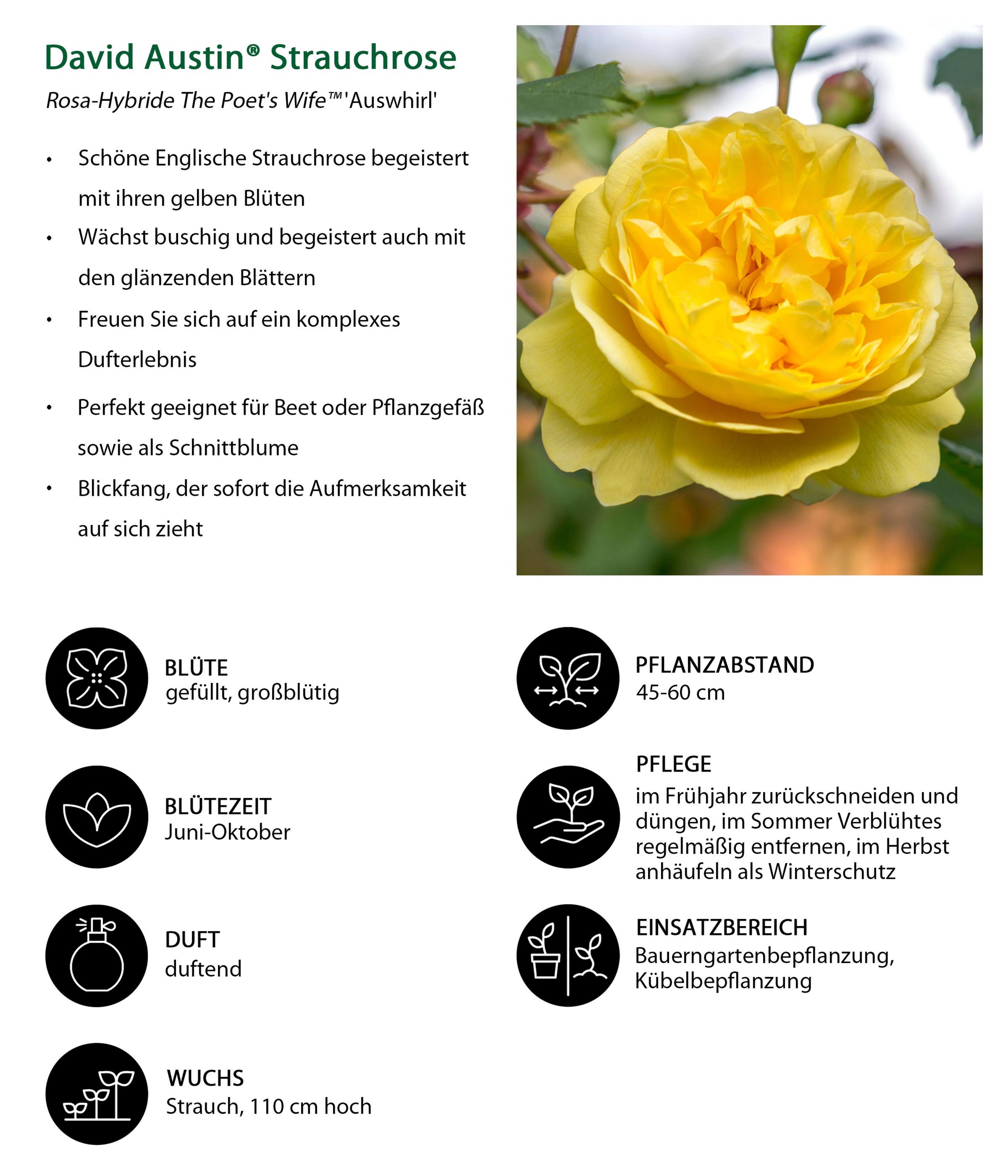 Produktbild 4