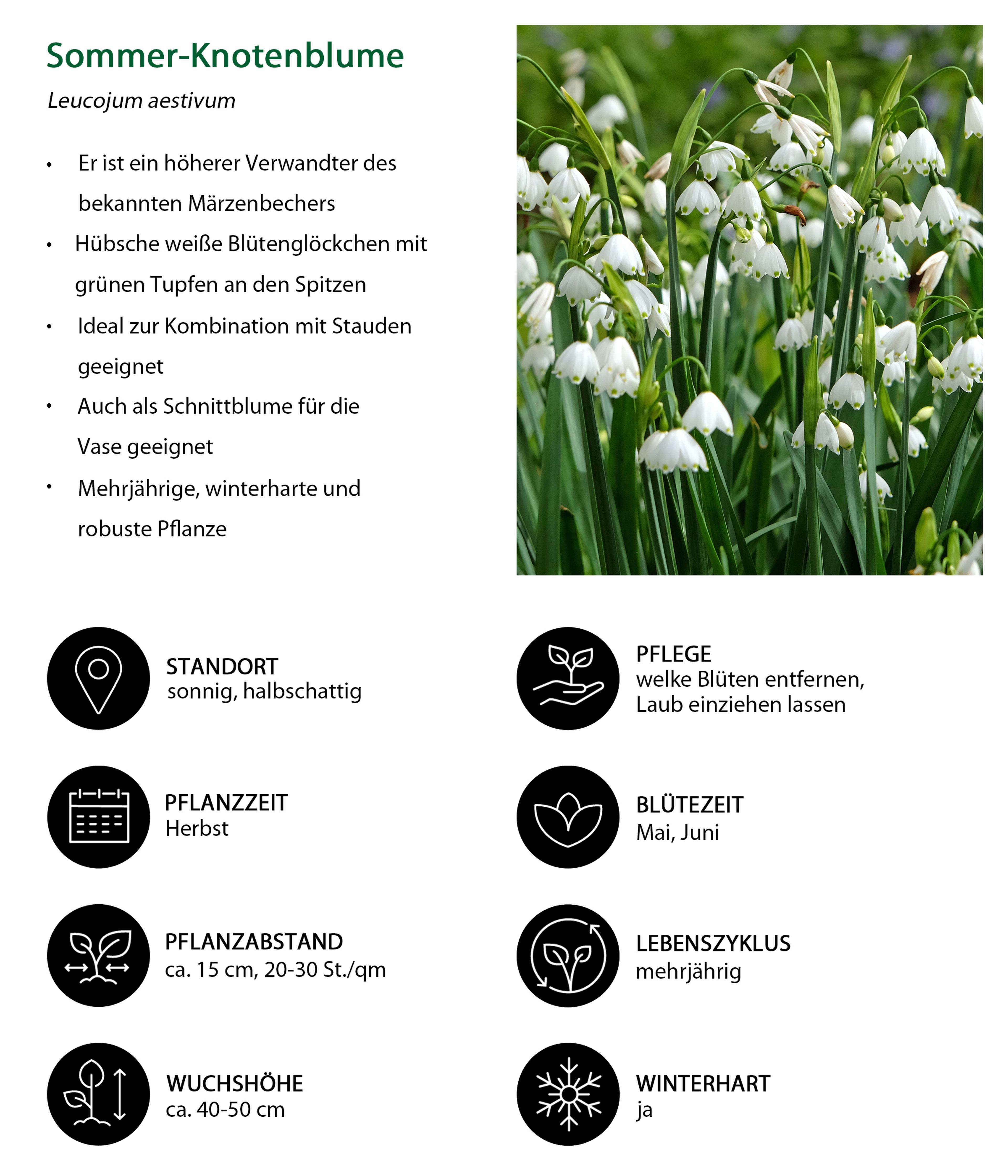 Produktbild 11