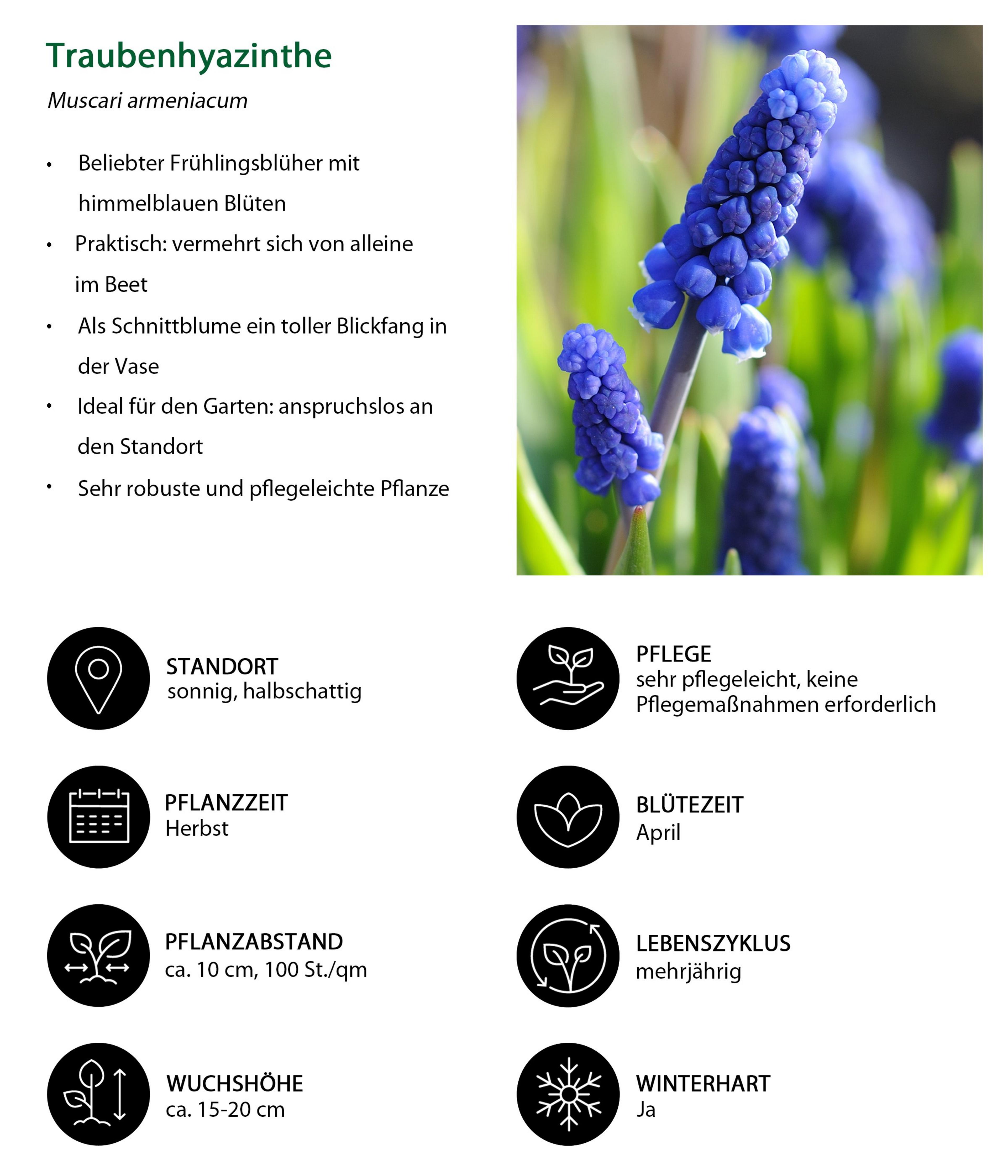 Produktbild 11