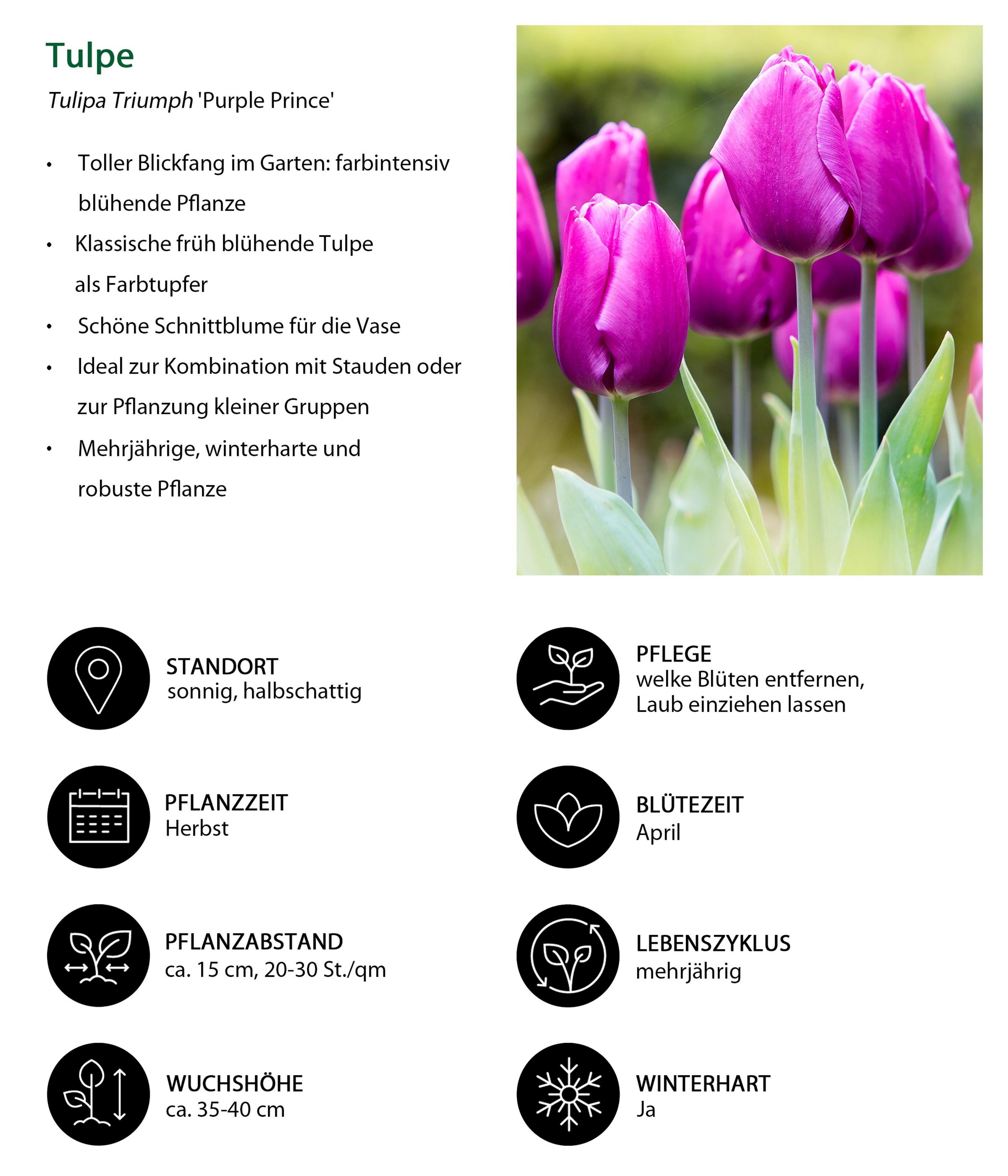 Produktbild 14