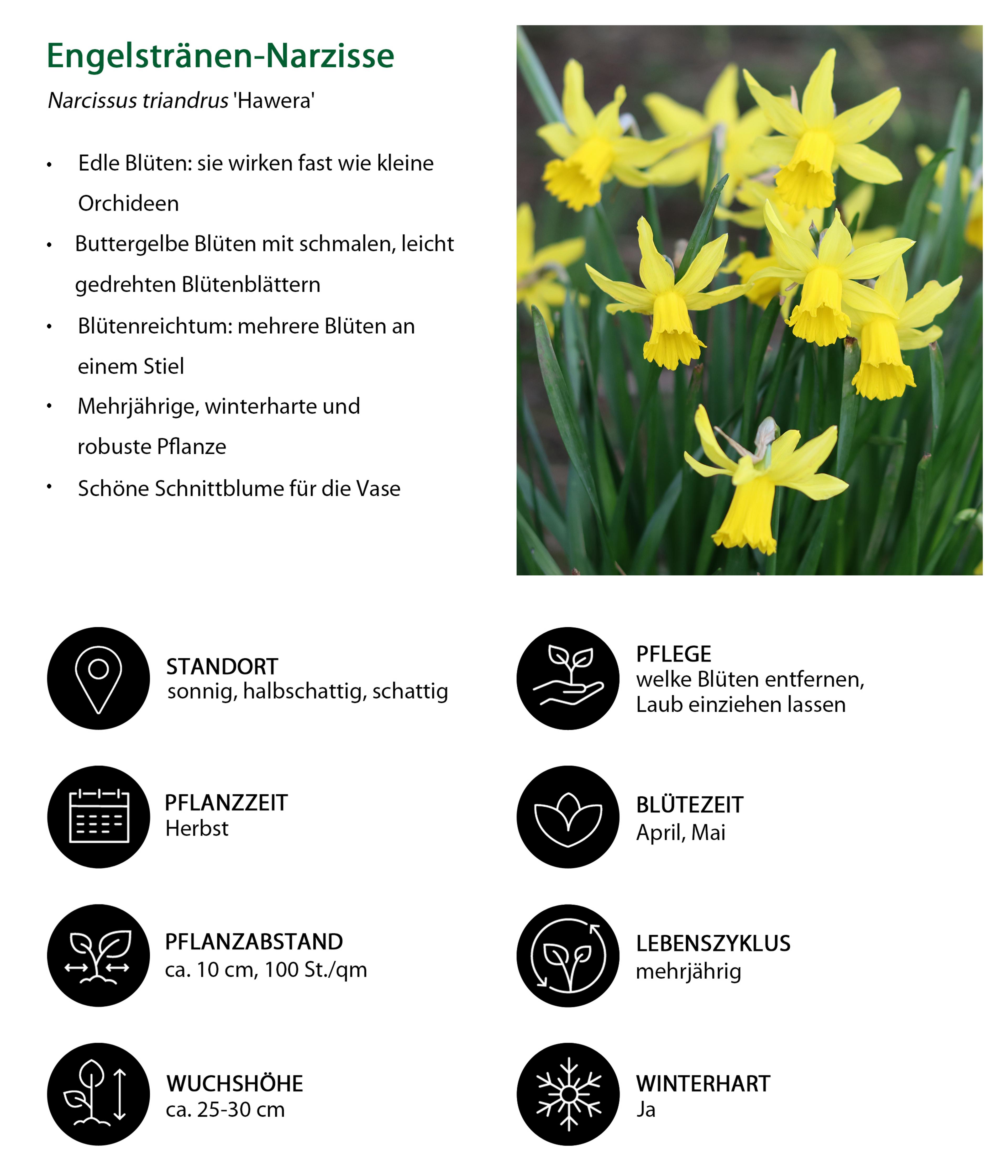 Produktbild 15