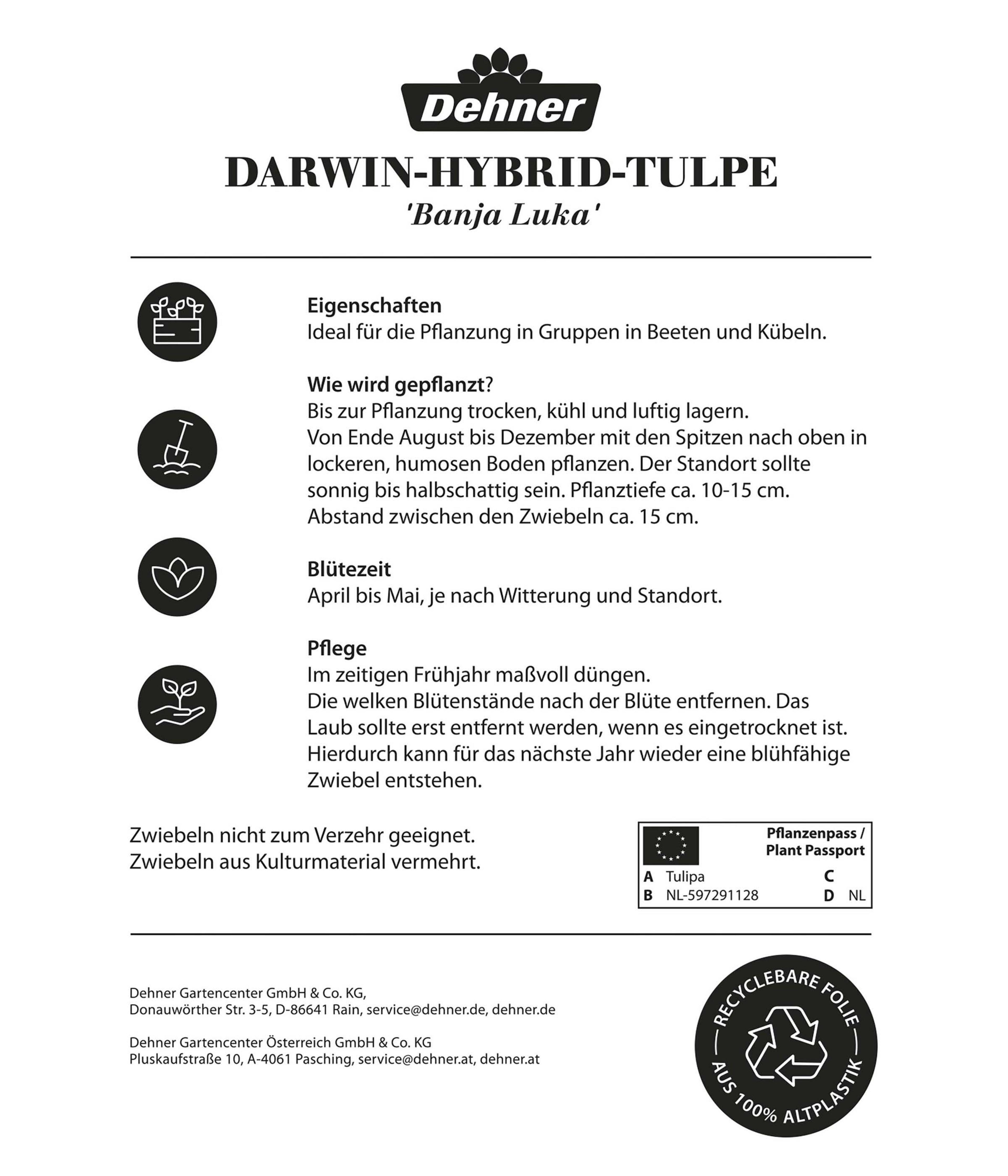 Produktbild 2