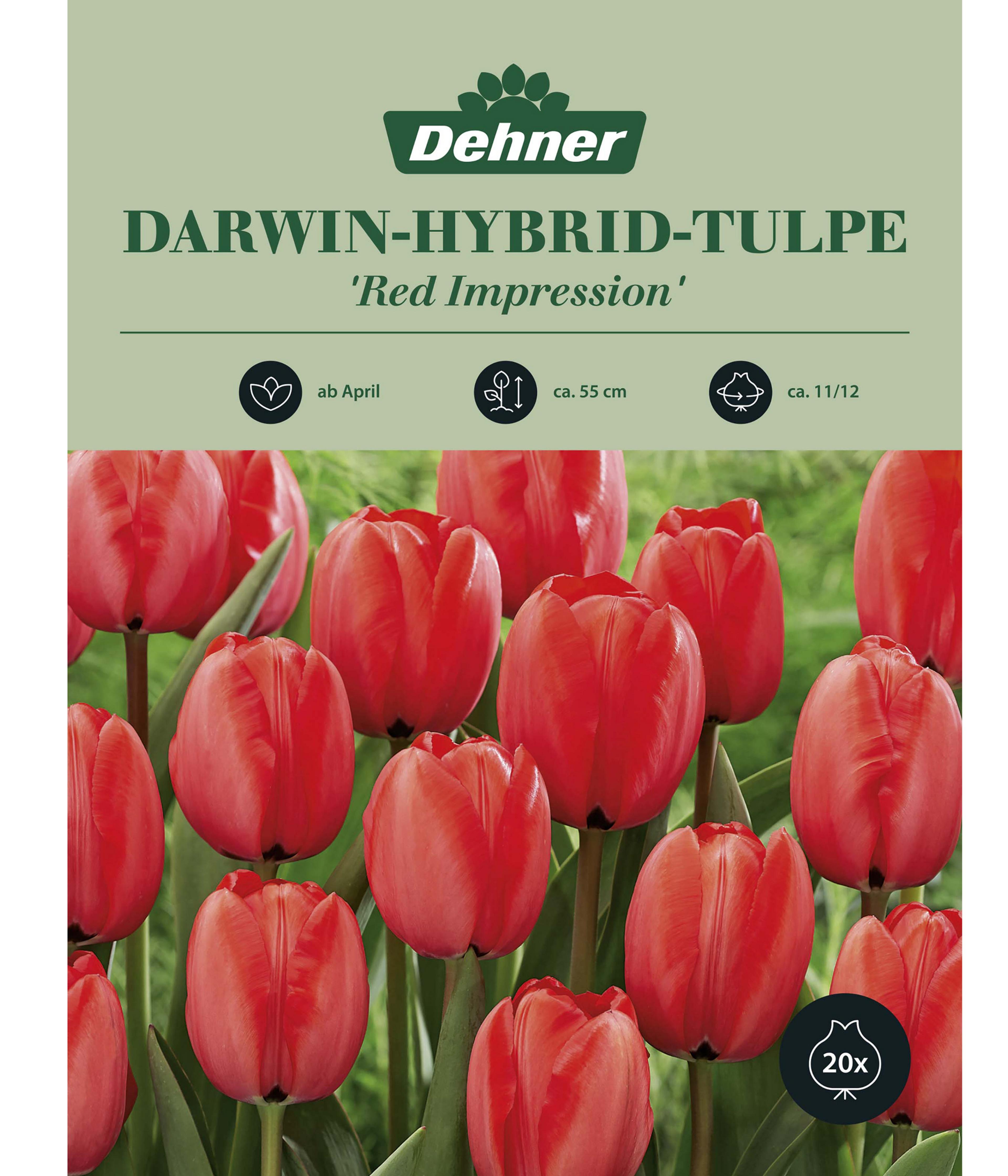 Produktbild 1