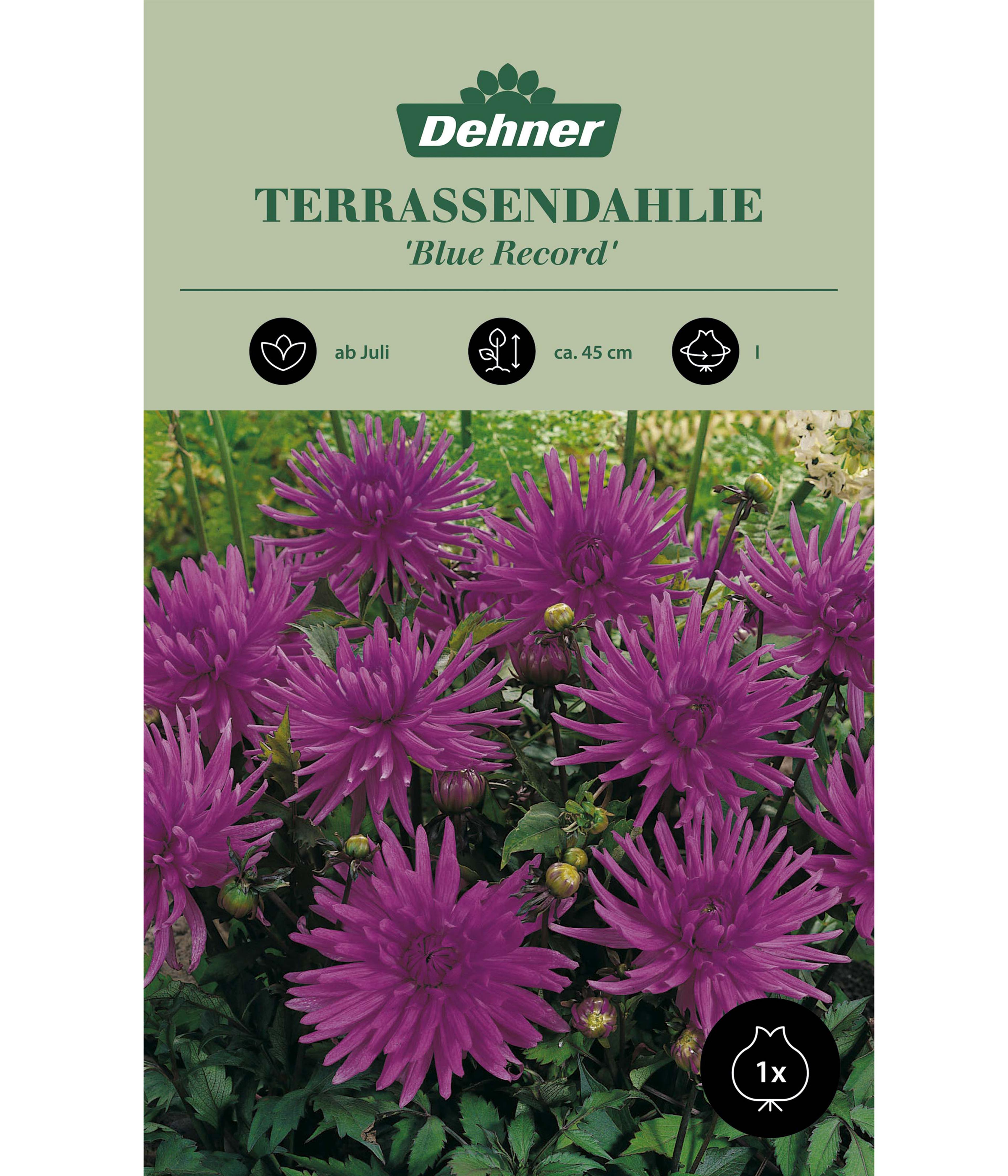 Produktbild 1