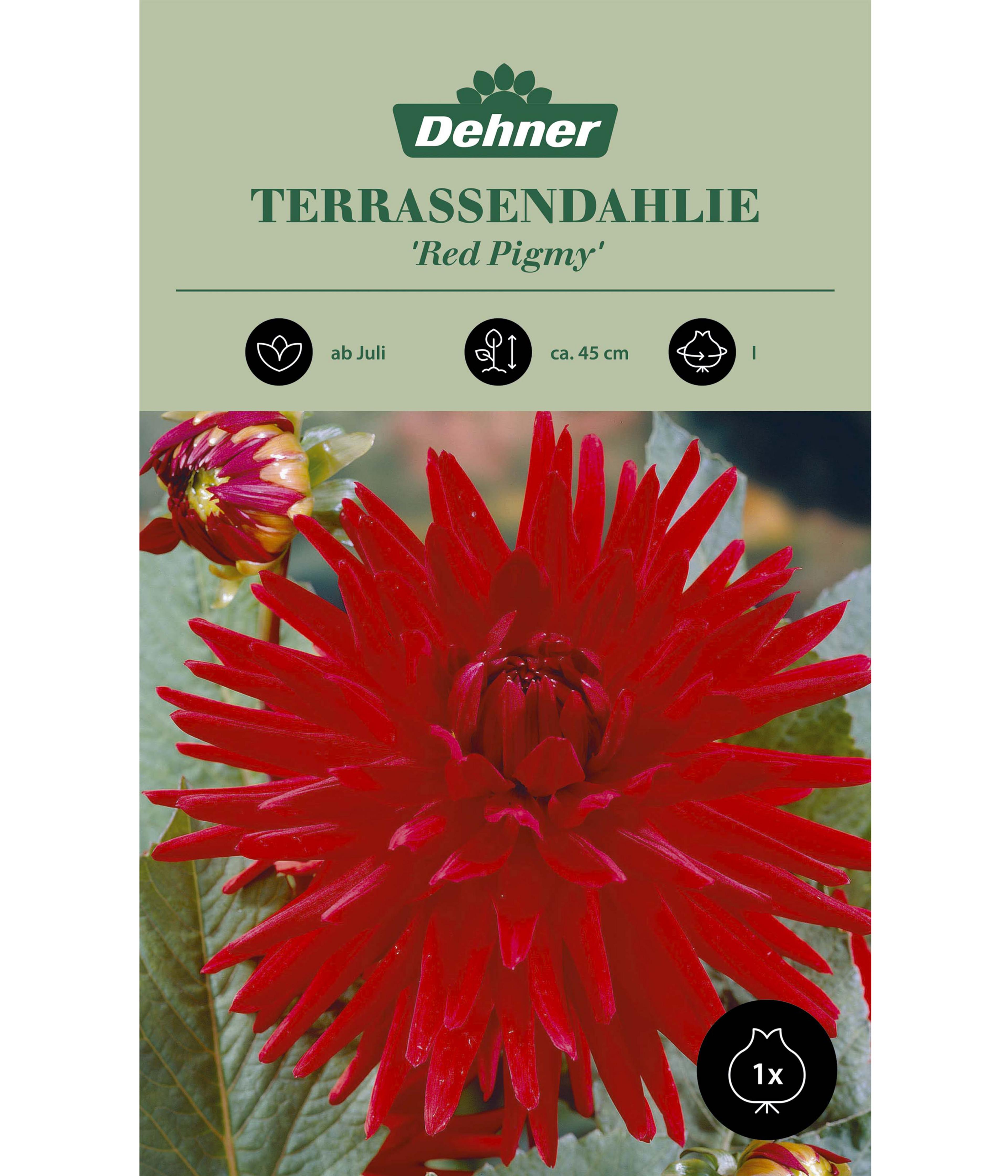 Produktbild 1