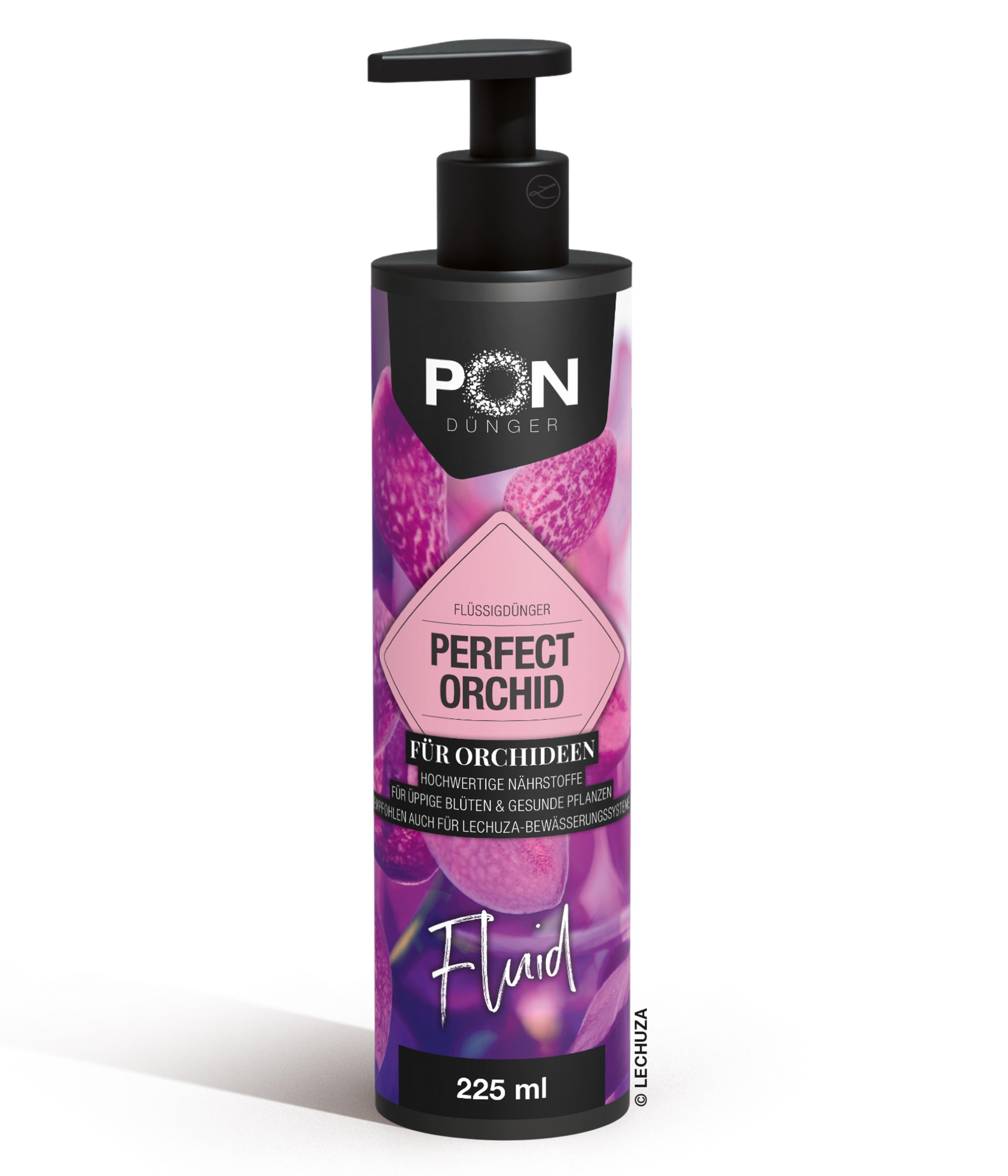 LECHUZA Pon Perfect Orchideen-Dnger, | Dehner
