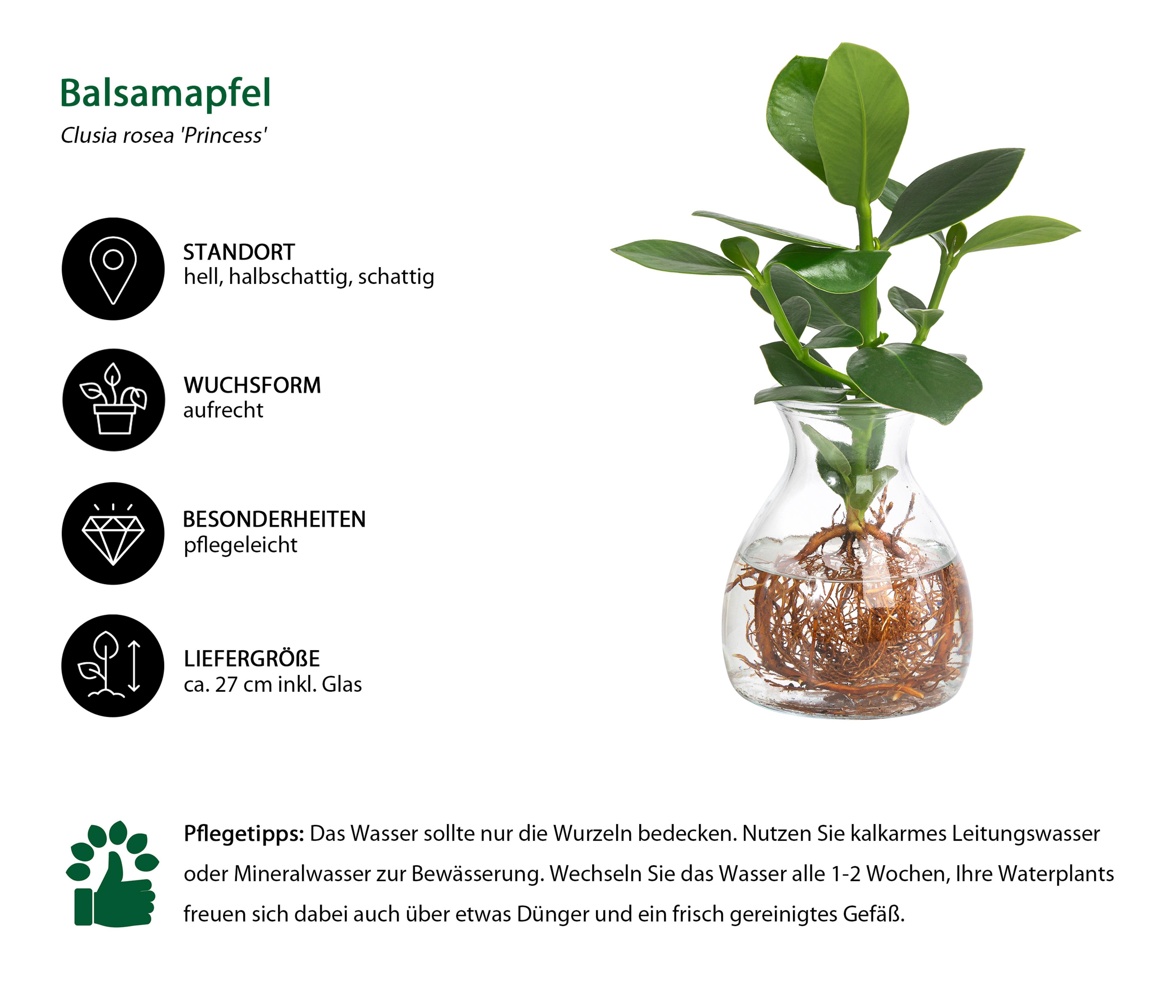 Produktbild 2
