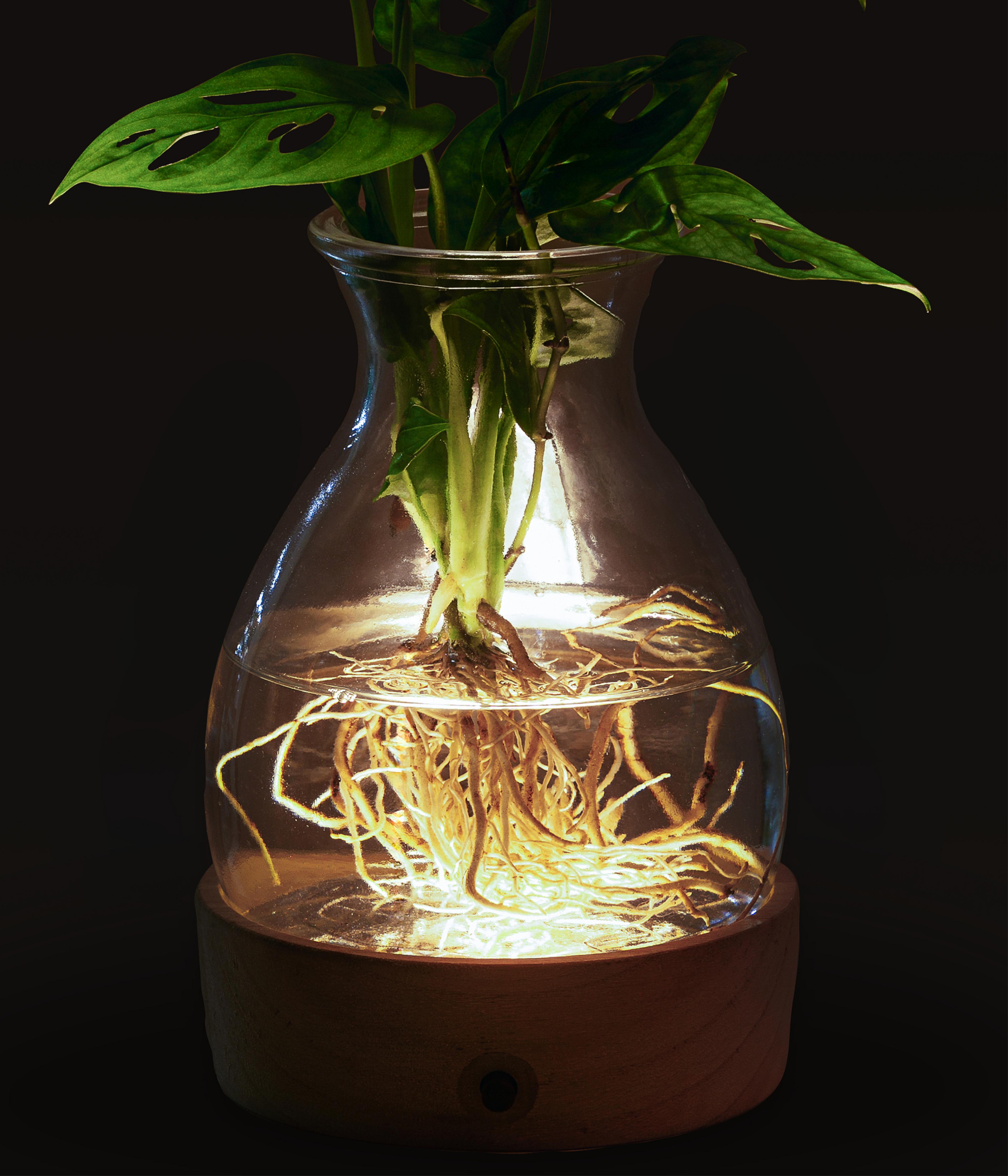 Produktbild 2