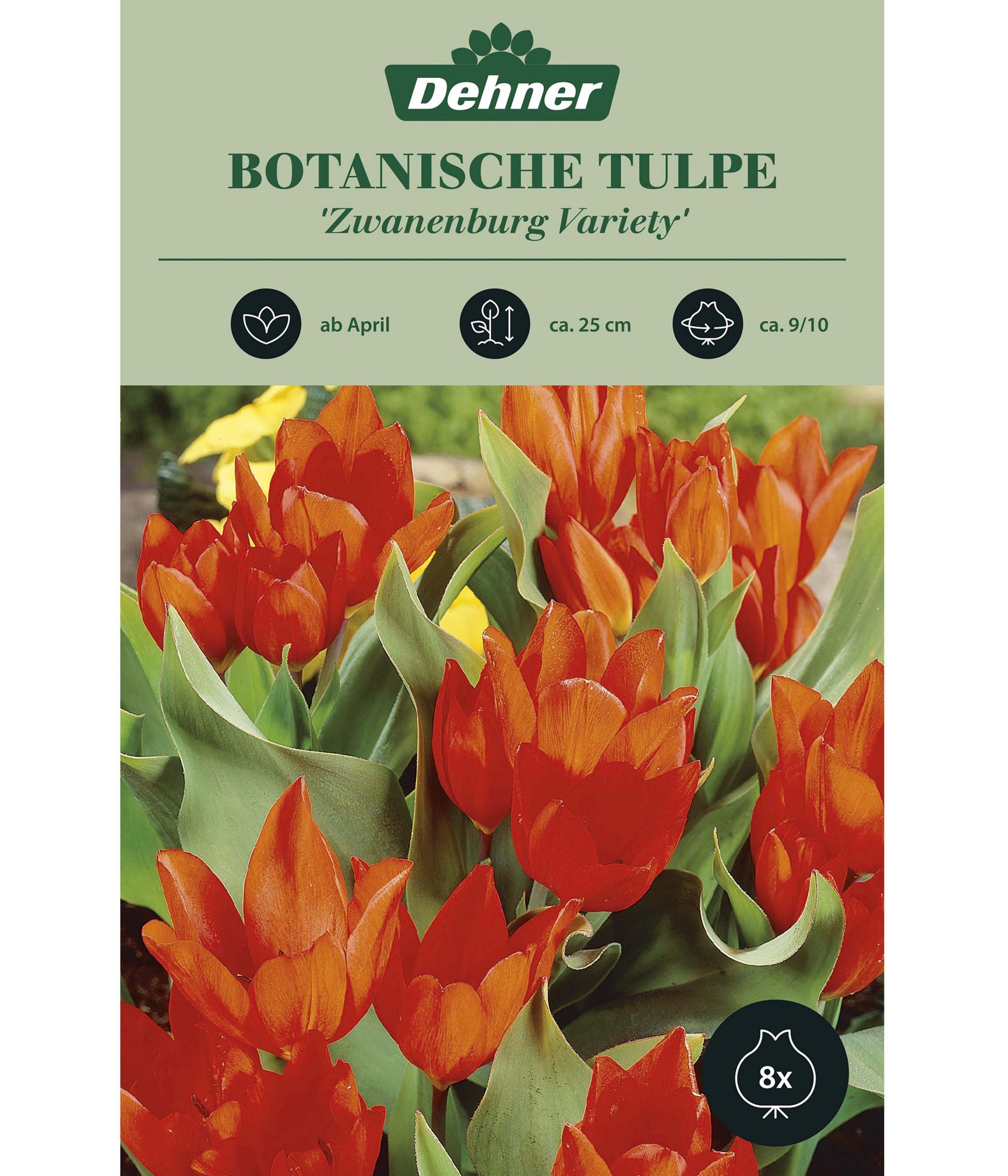 Produktbild 1