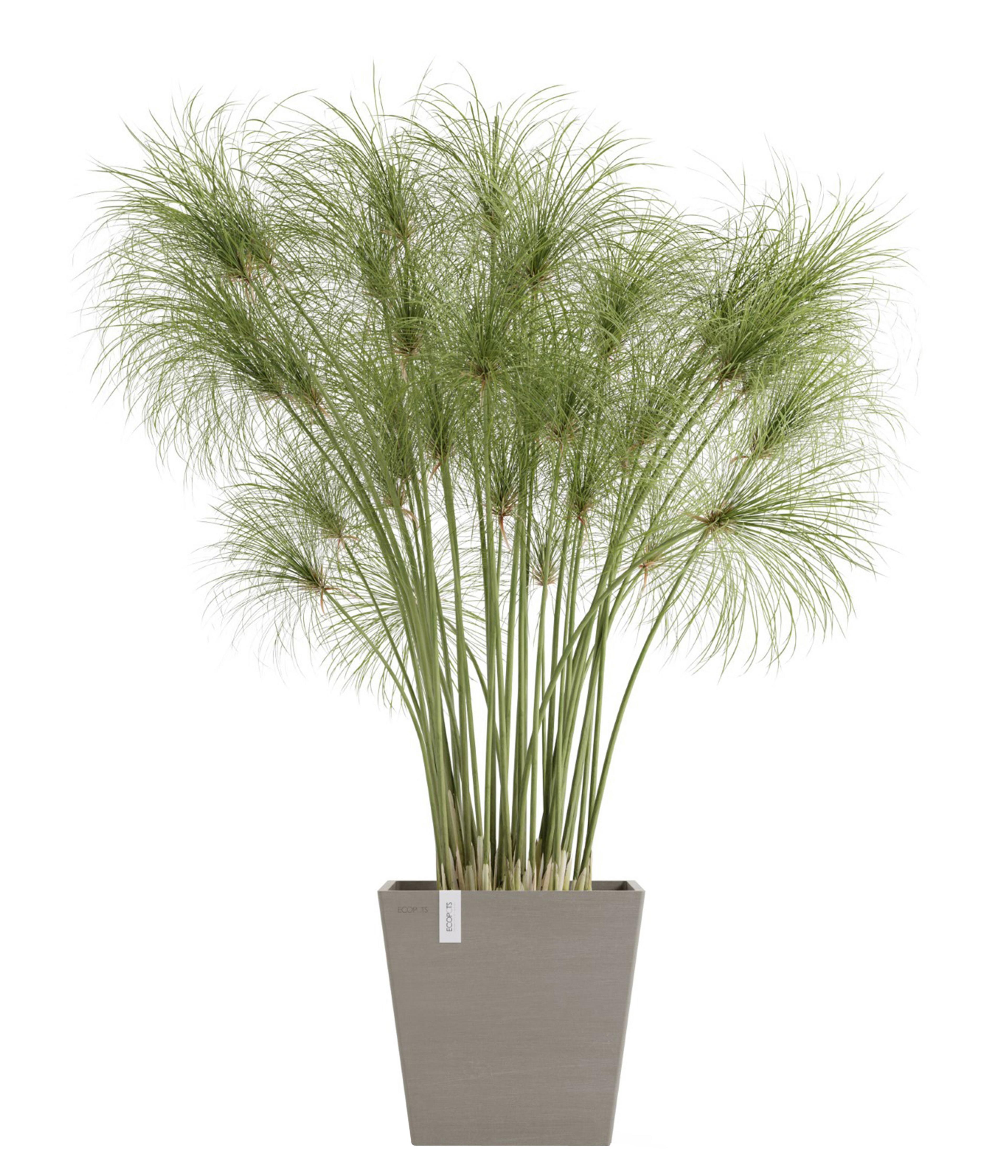 Produktbild 2