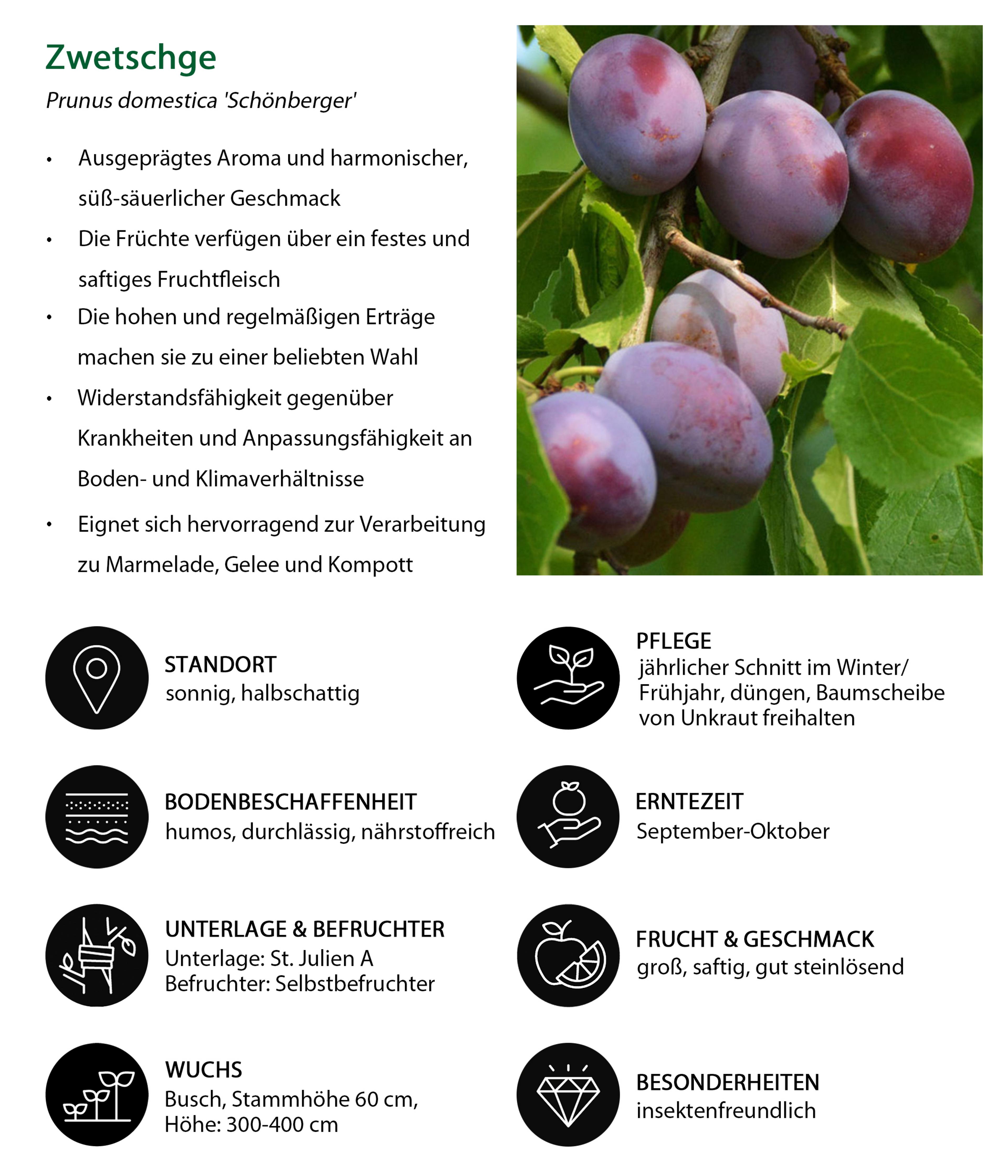 Produktbild 7