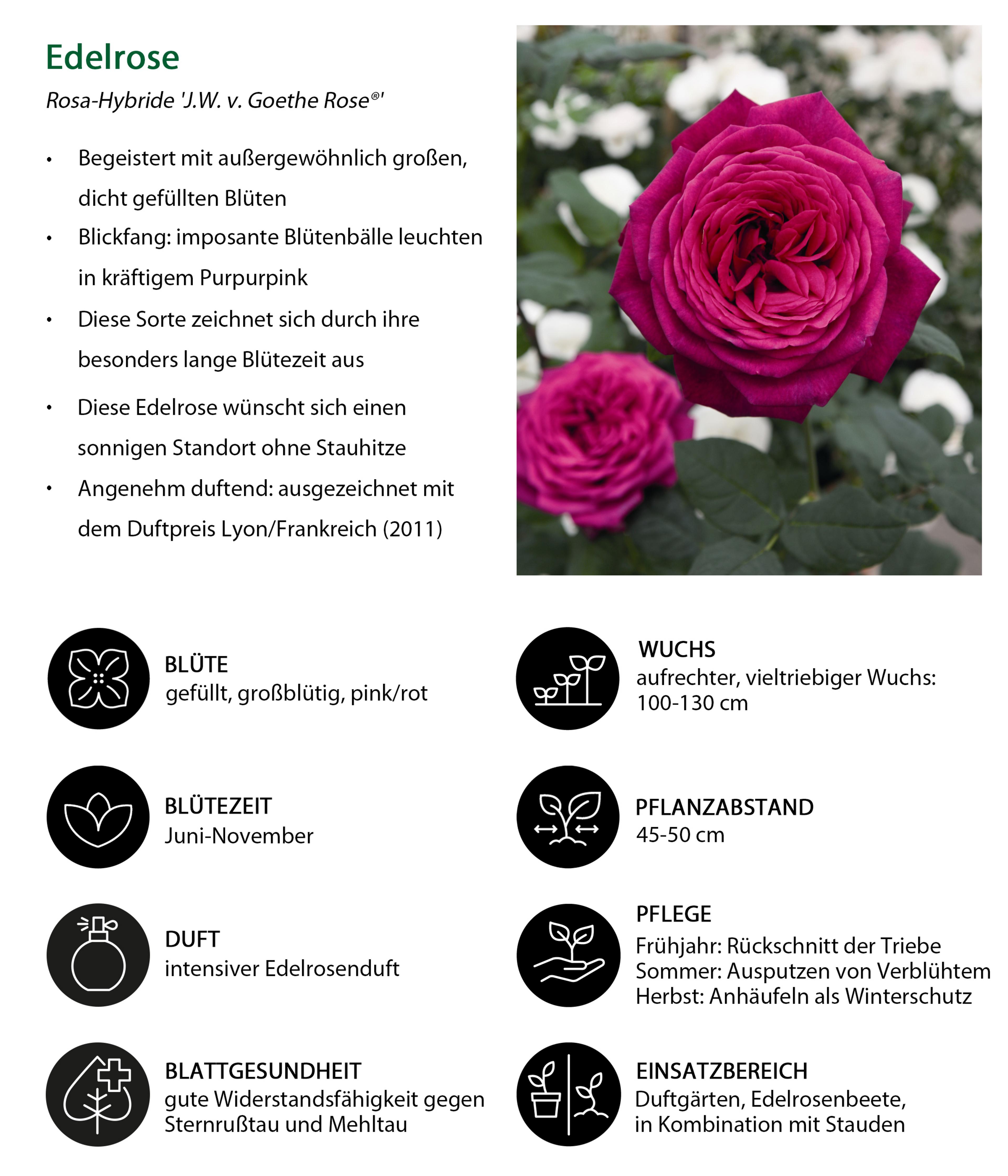Produktbild 6