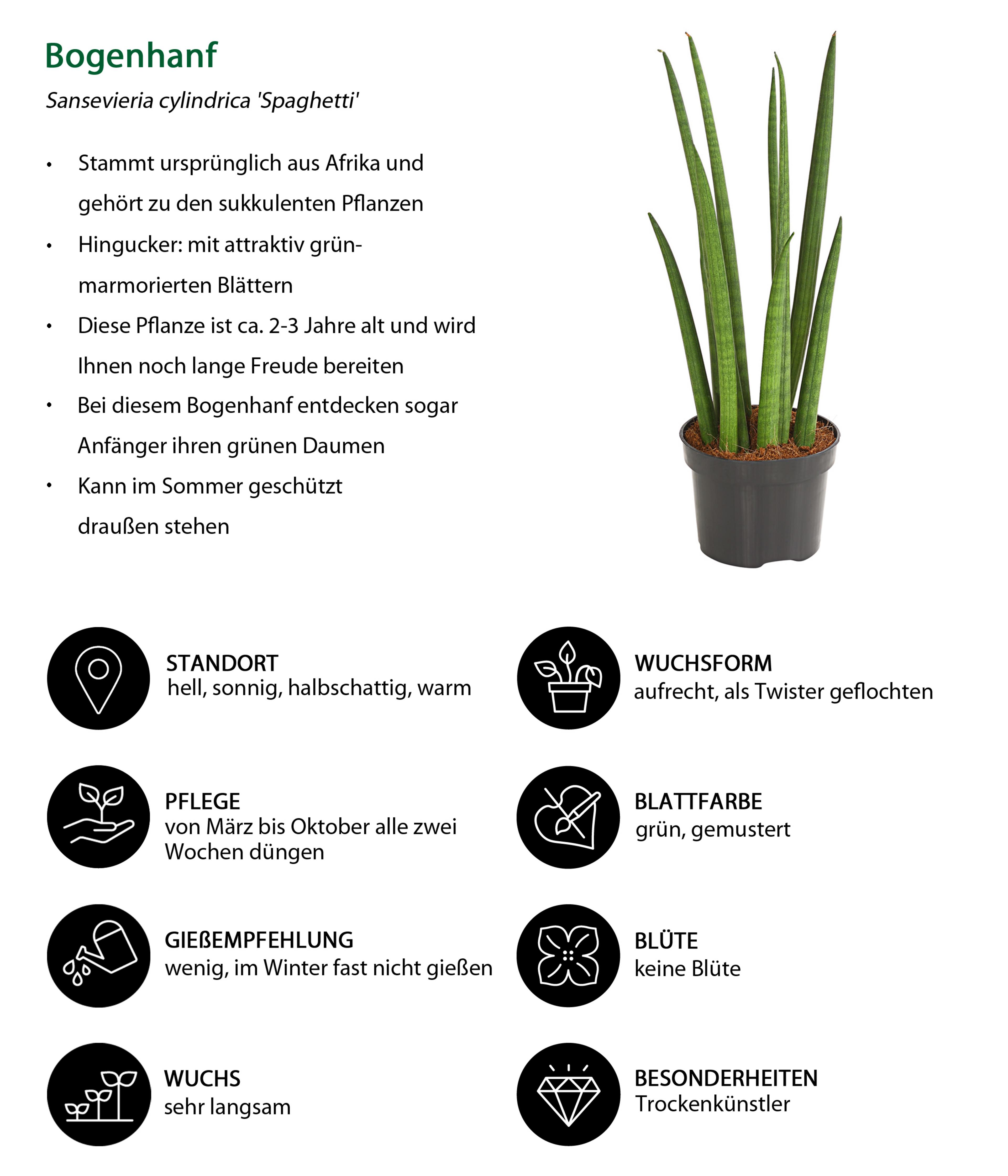 Produktbild 3