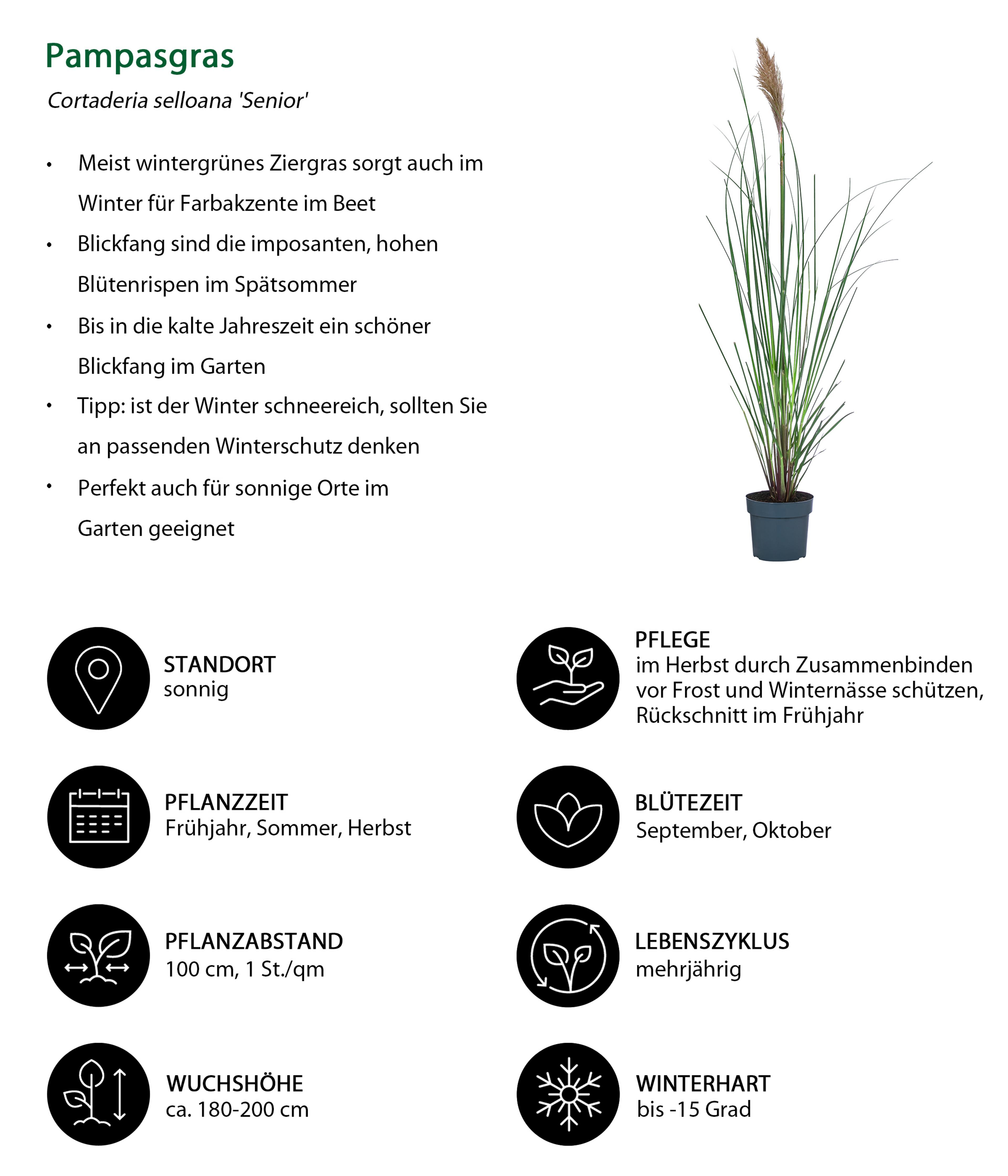 Produktbild 3