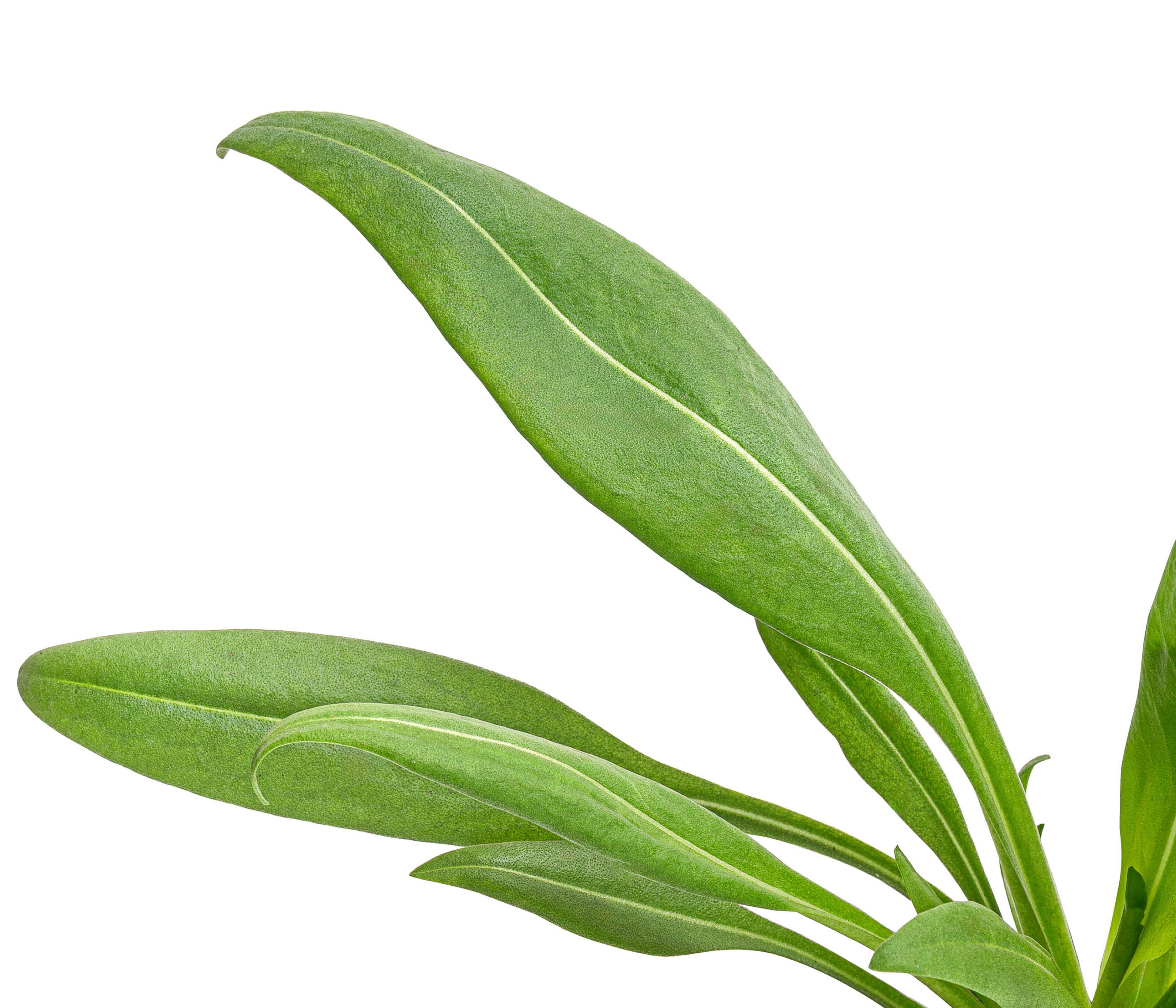Produktbild 4