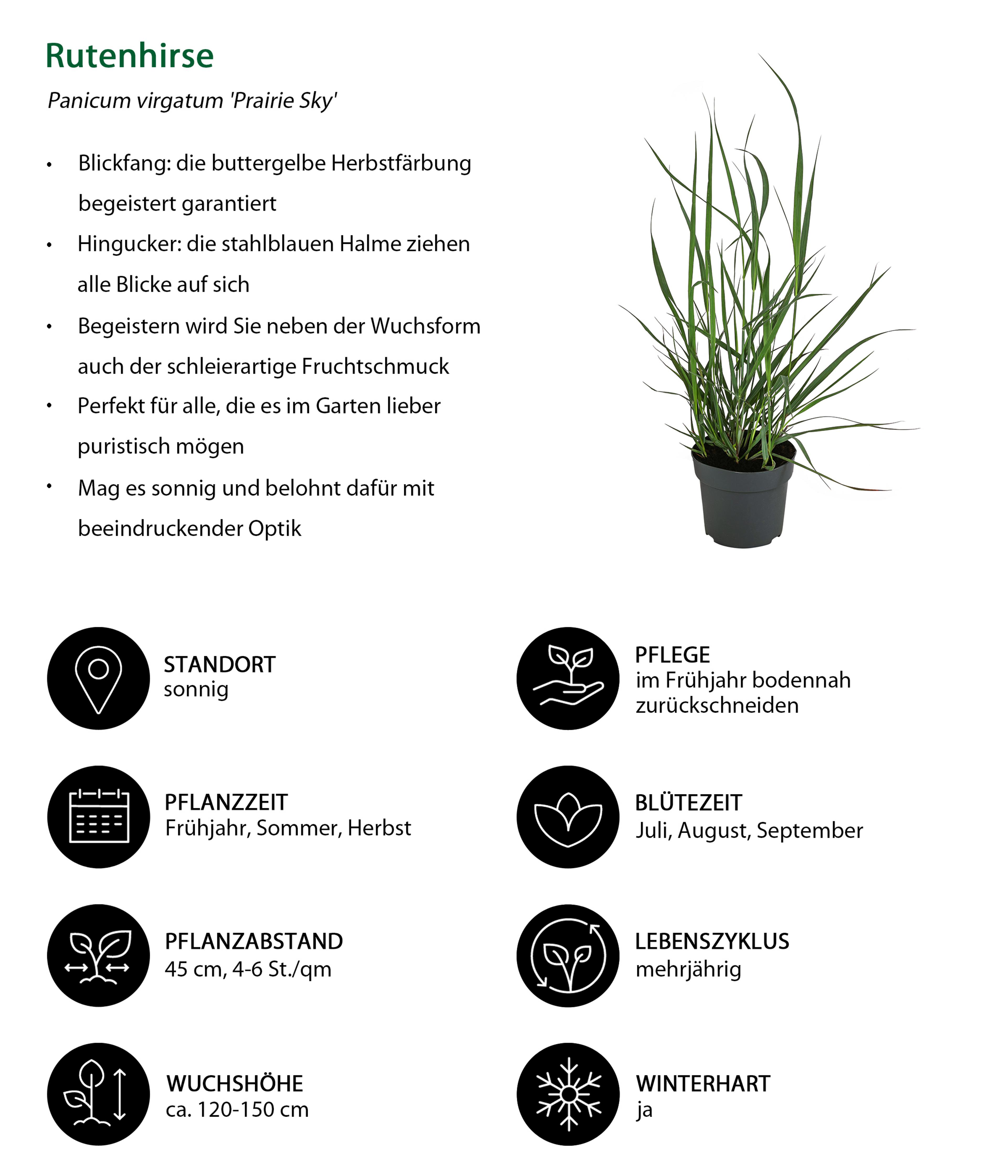 Produktbild 2