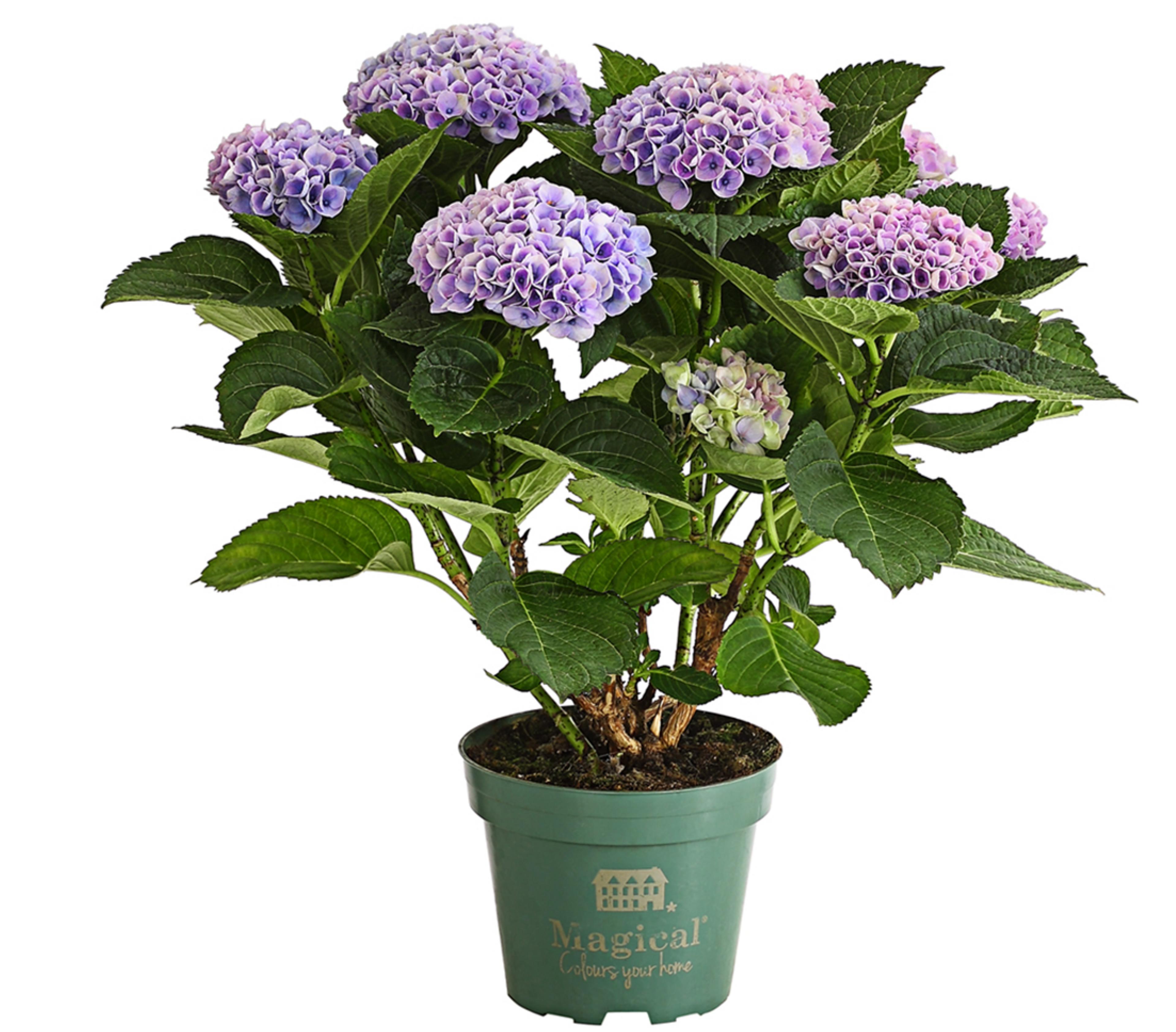 Produktbild 2