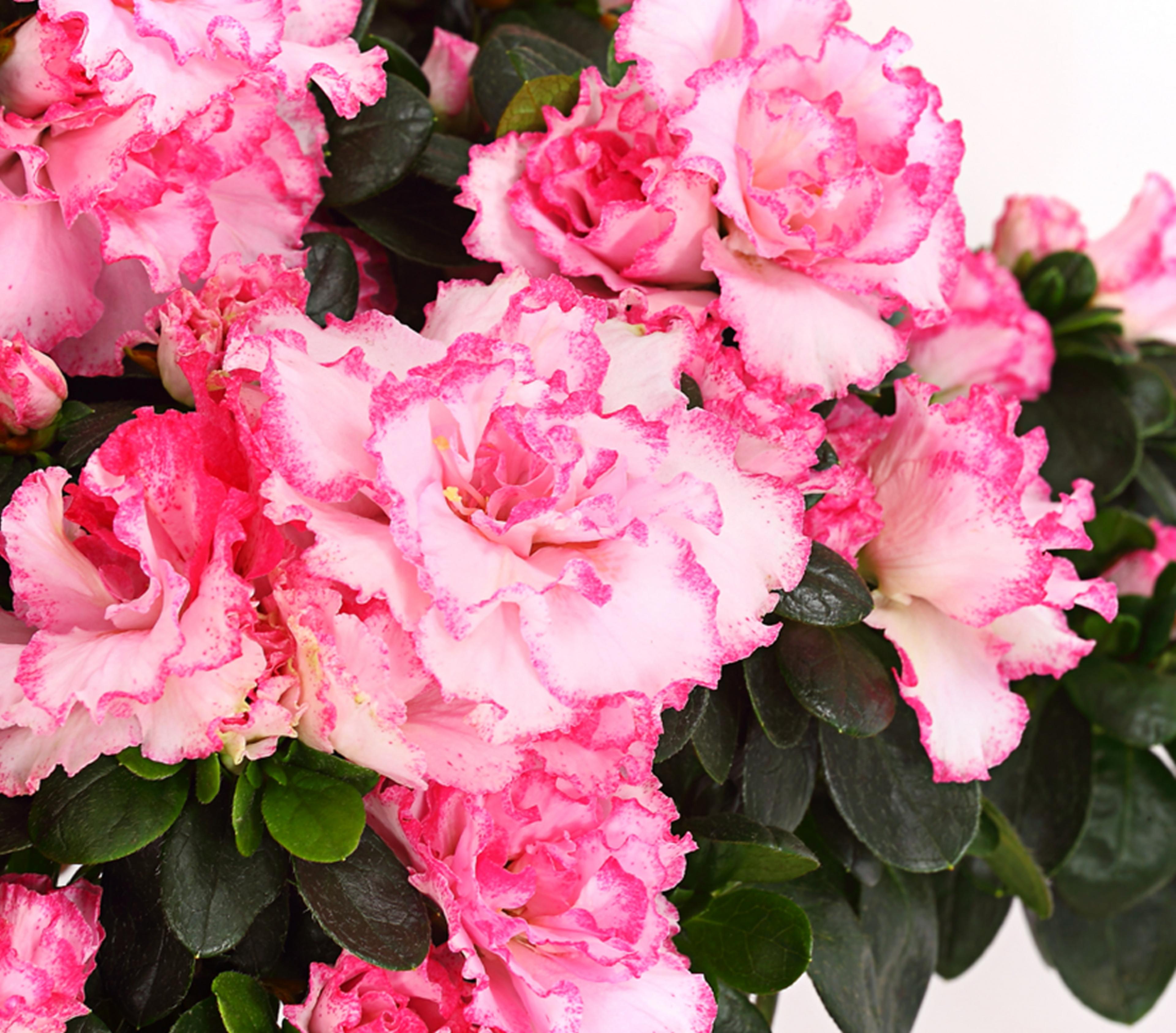 Produktbild 8