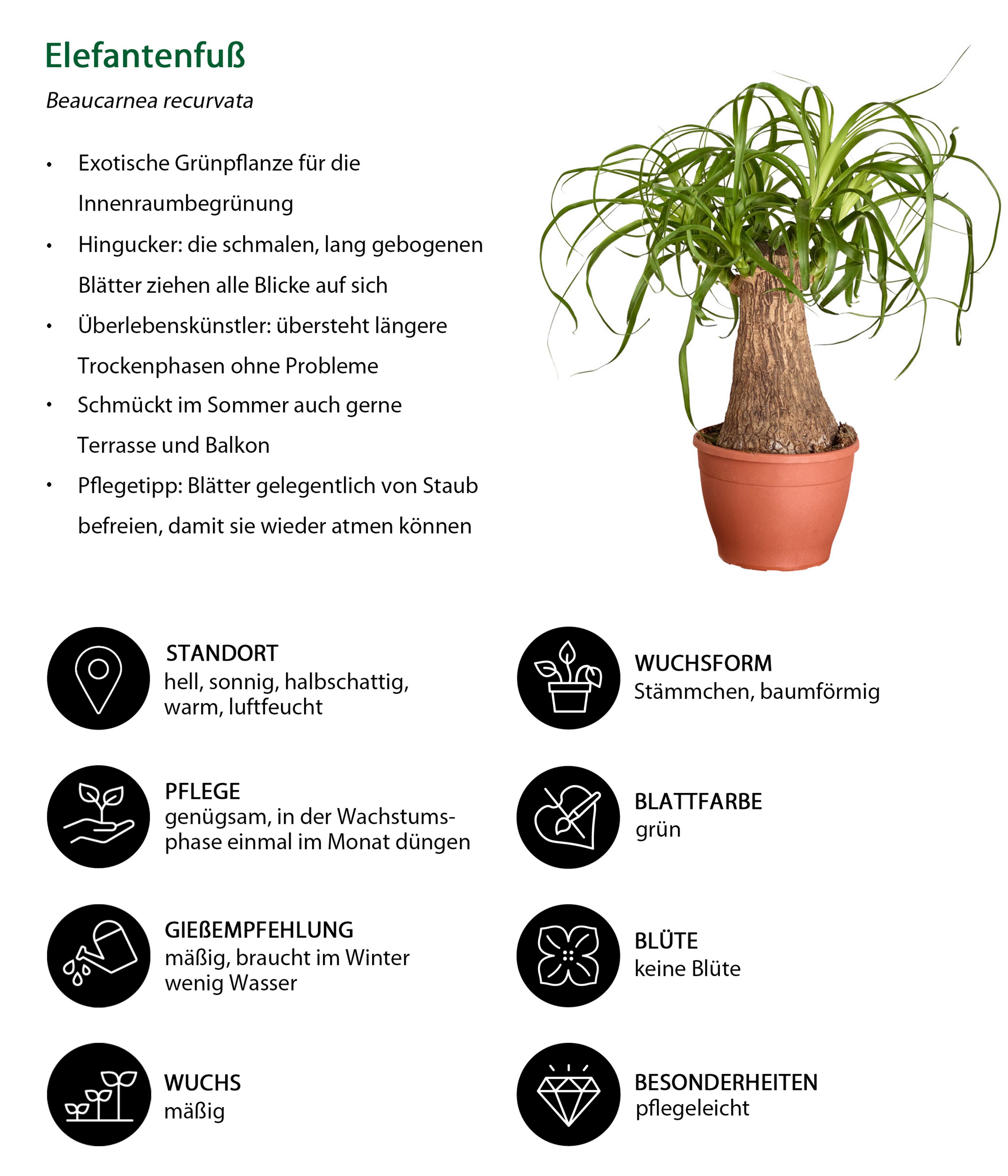 Produktbild 5