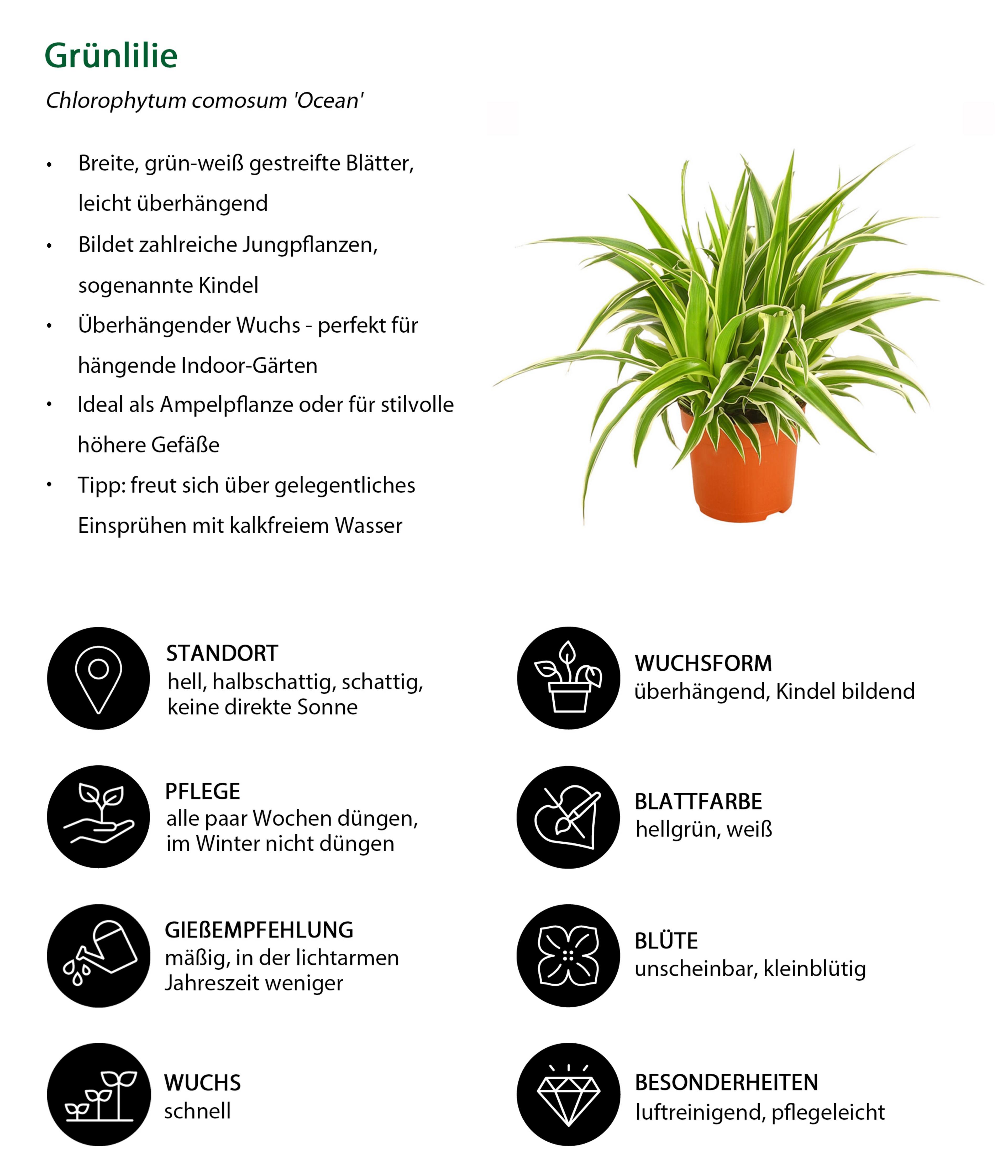 Produktbild 3