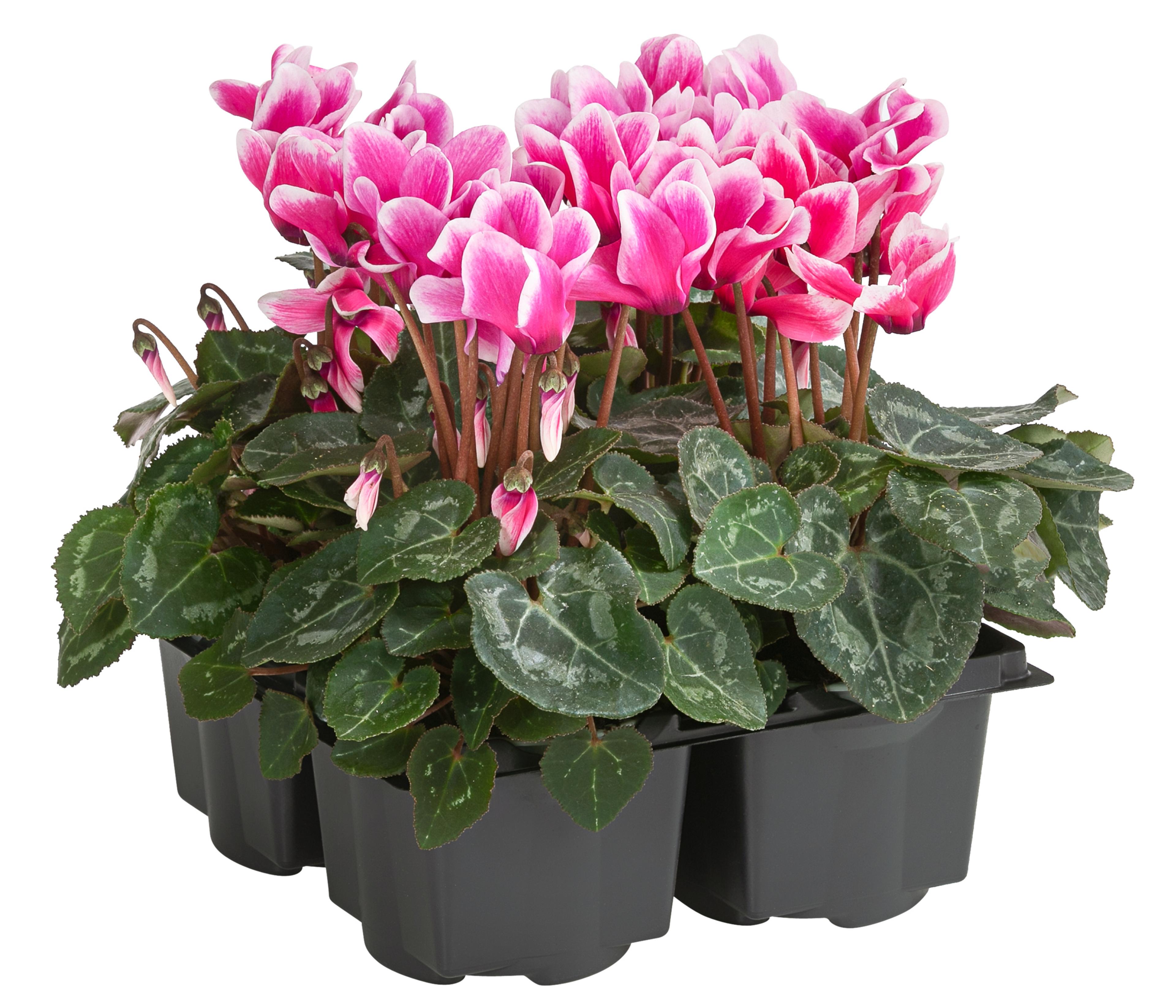 Produktbild 3