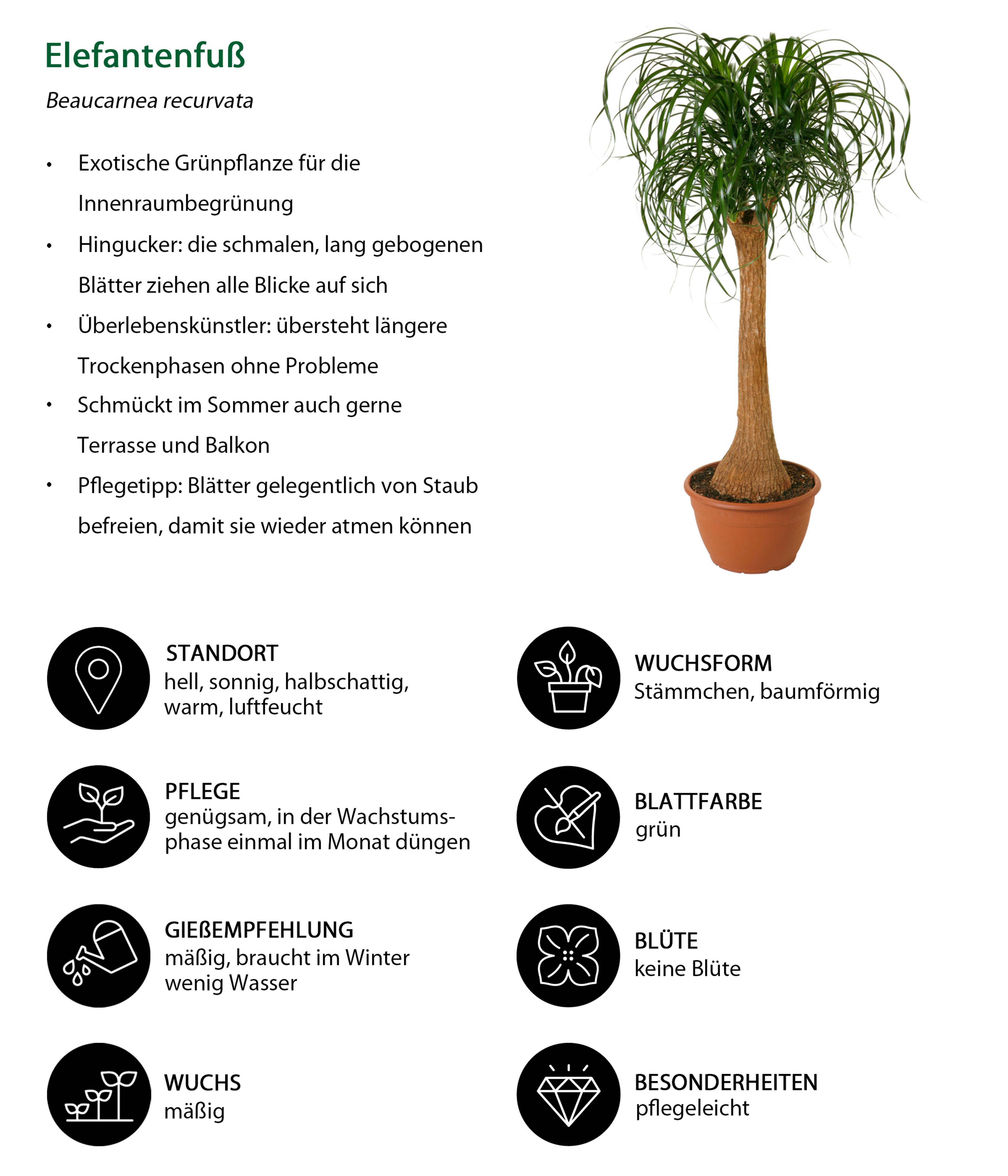 Produktbild 2