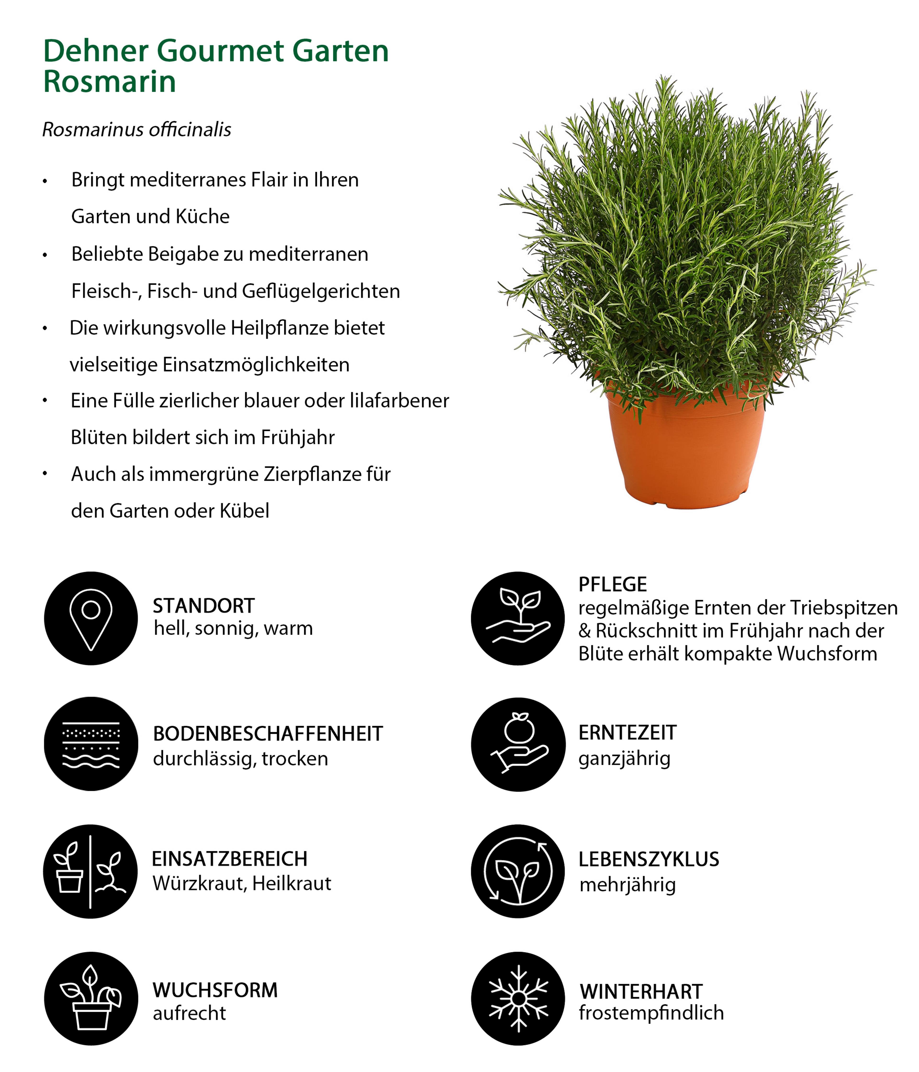 Produktbild 4