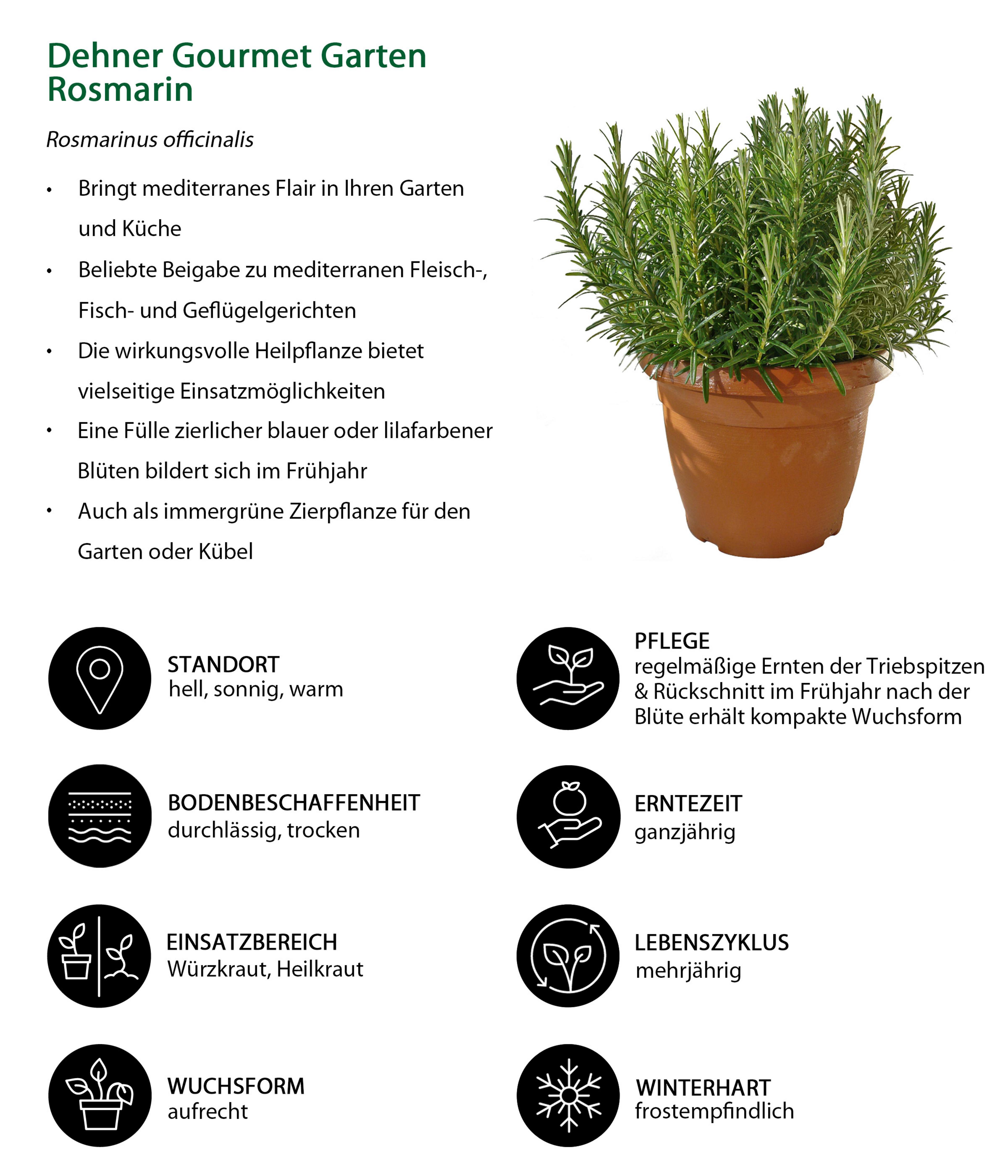 Produktbild 3