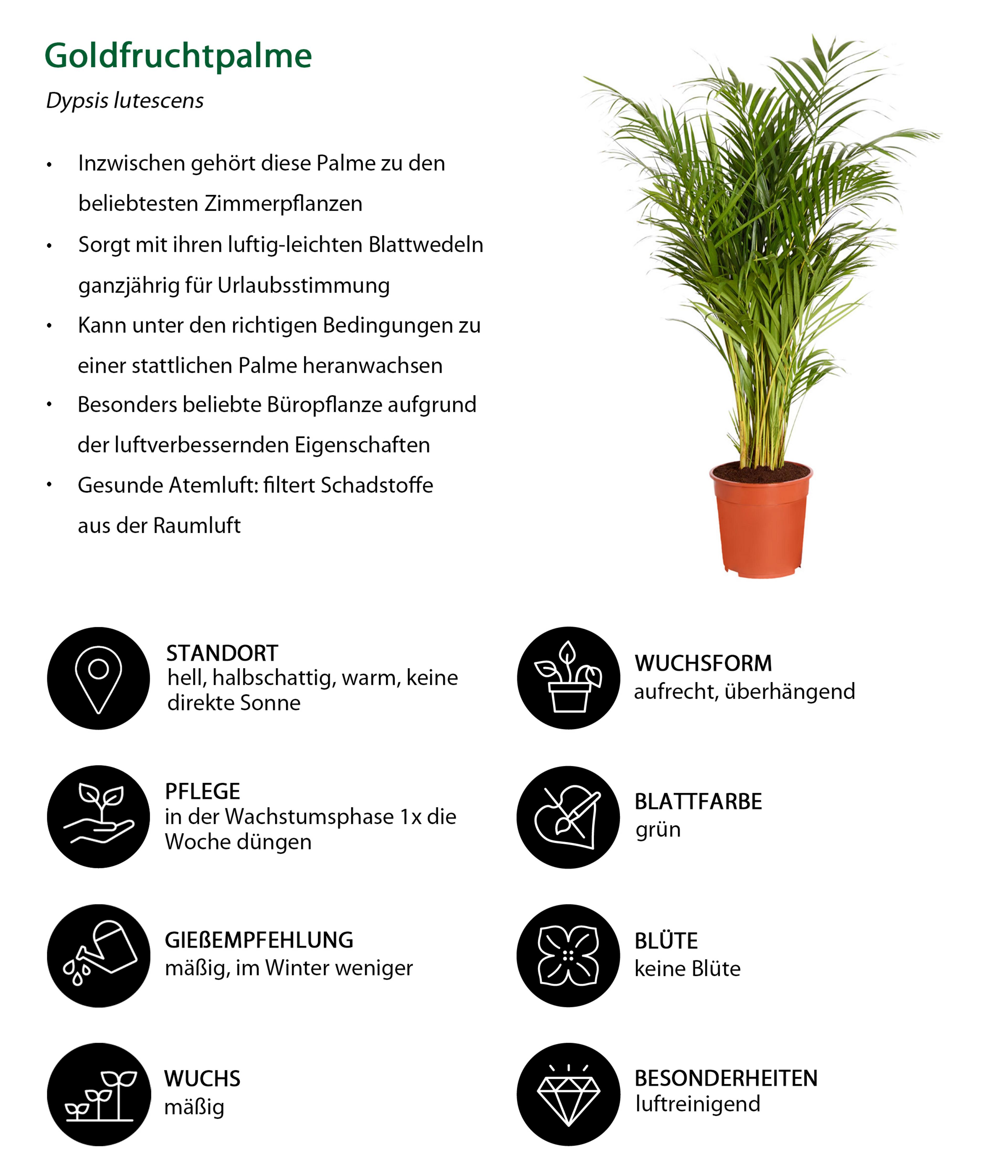 Produktbild 7