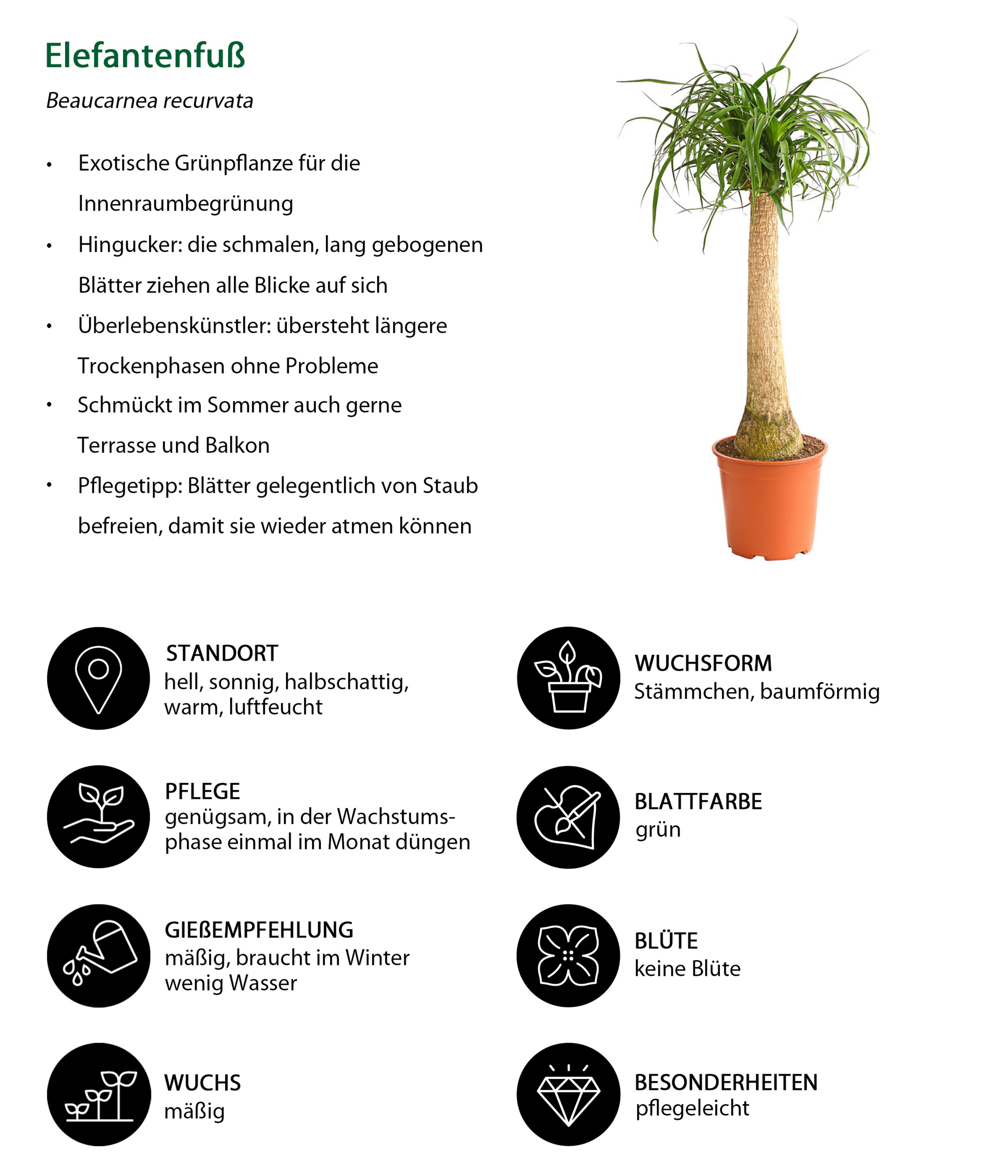Produktbild 3