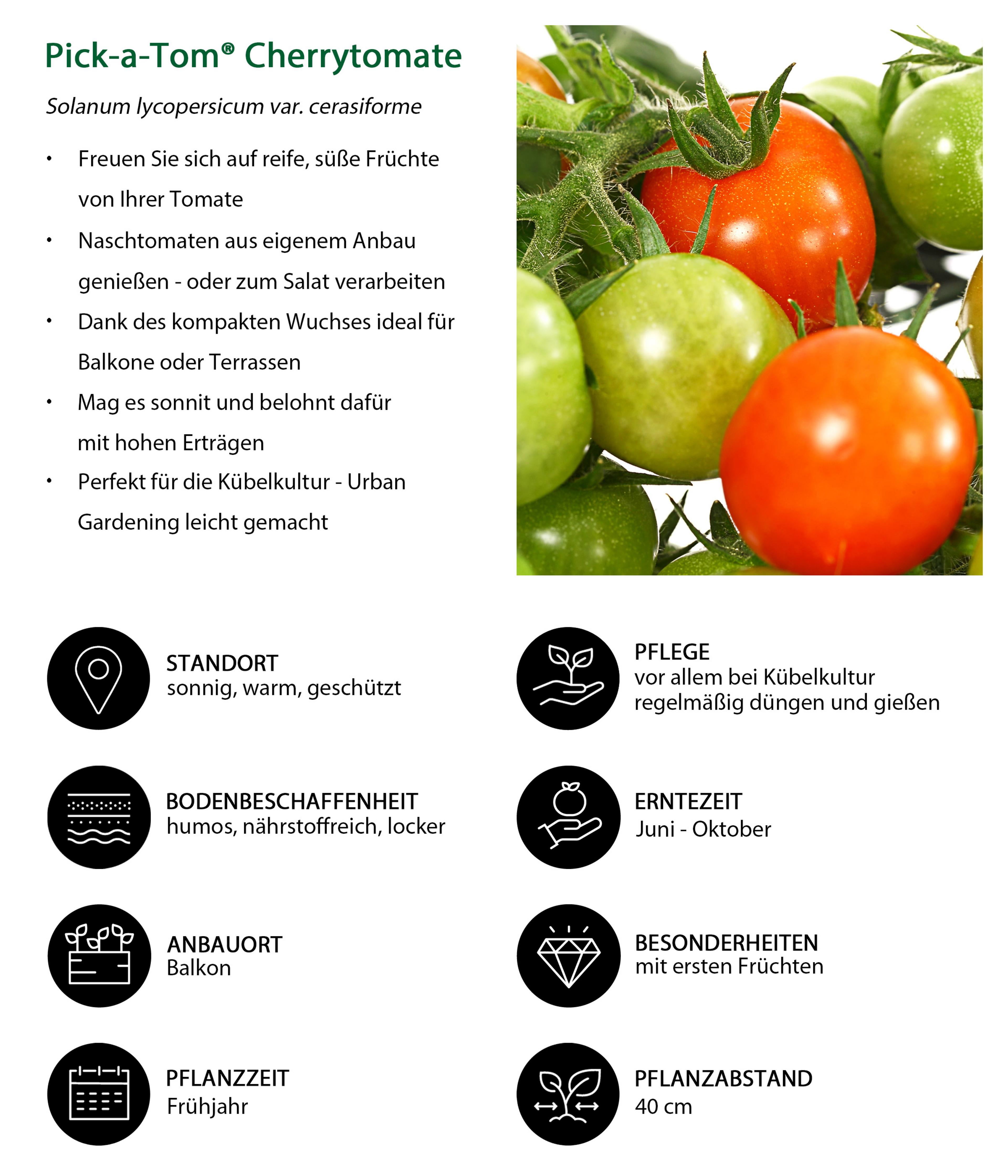 Produktbild 8