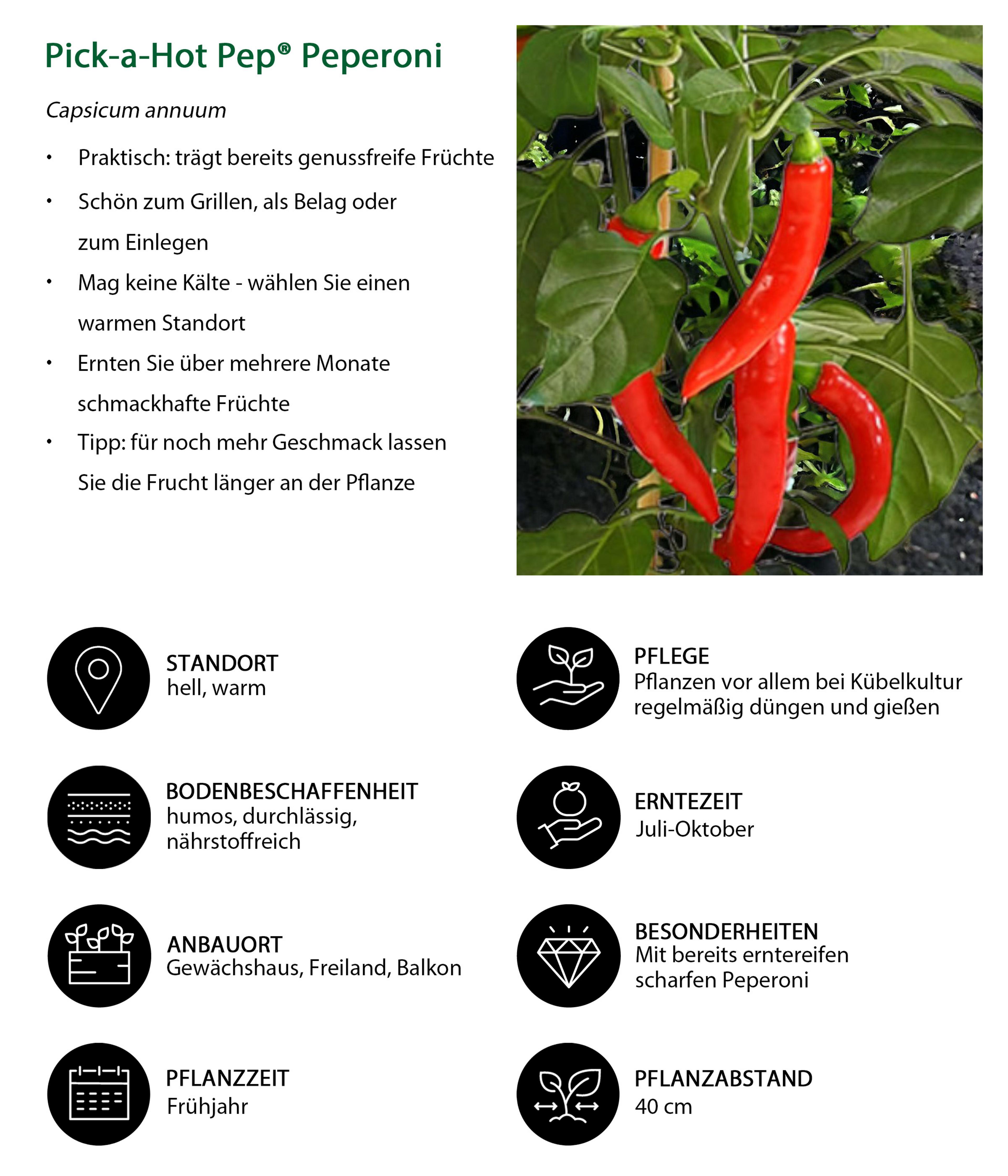 Produktbild 6