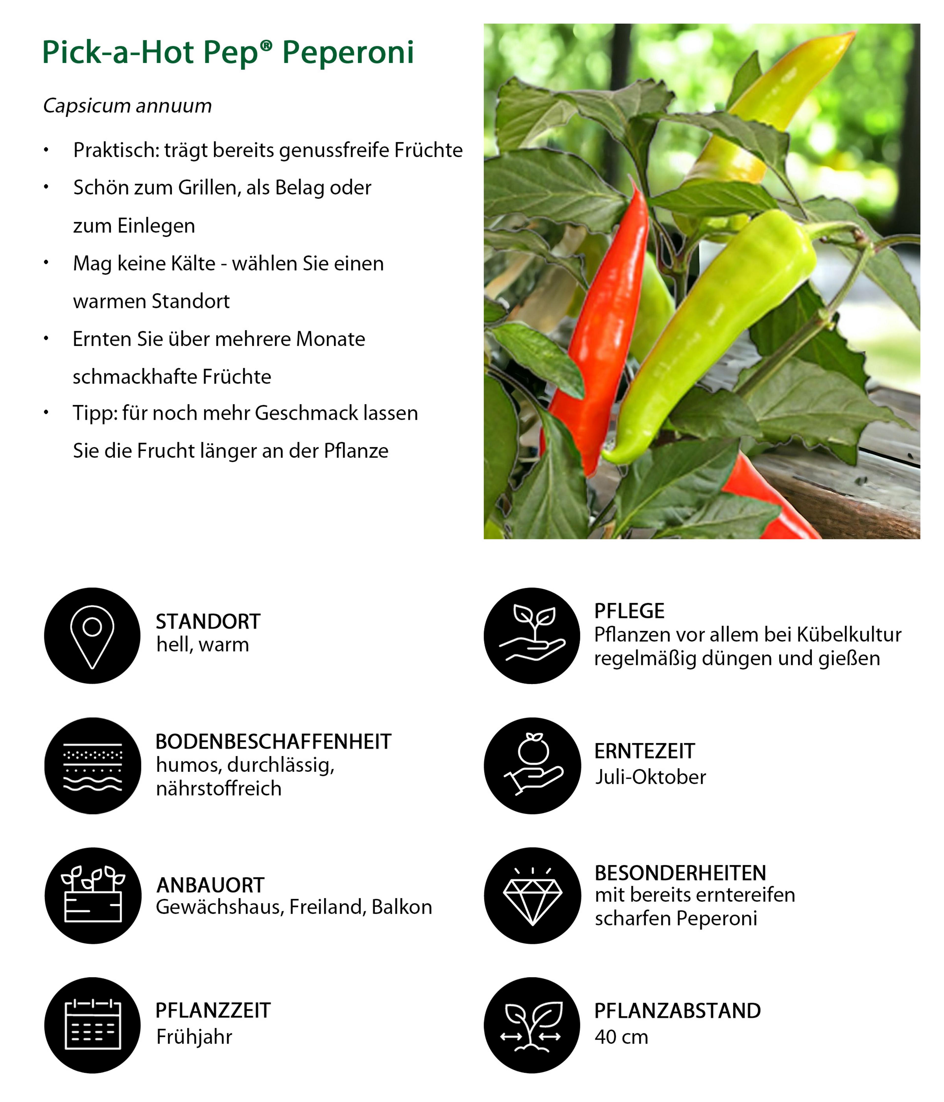 Produktbild 6