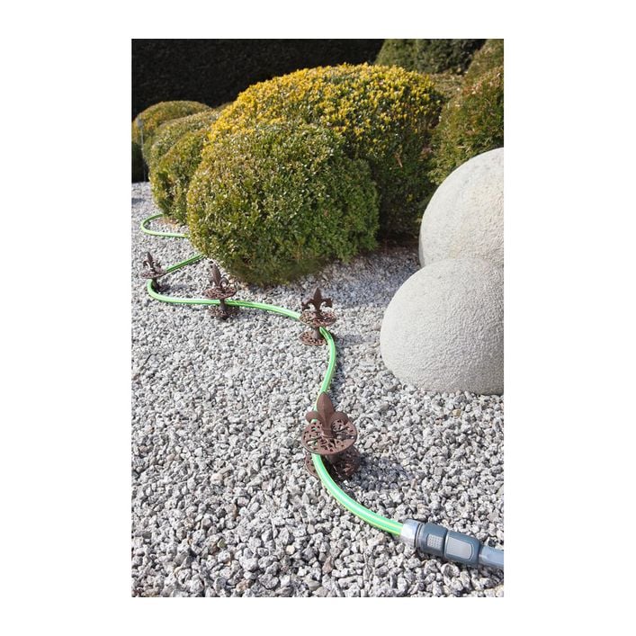 is aloe a succulent plant Cactus Aloe Vera Plant main image 0