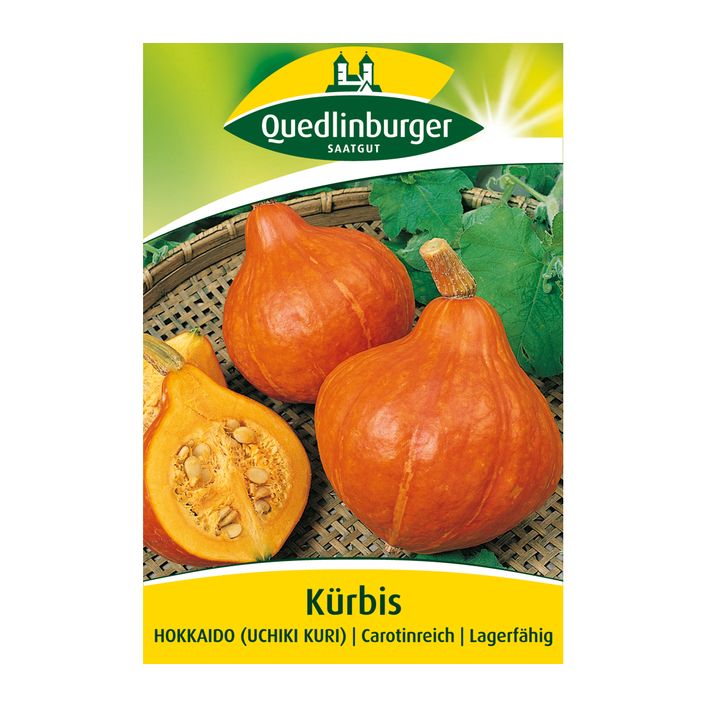 Quedlinburger Samen Krbis 'Hokkaido' | Dehner