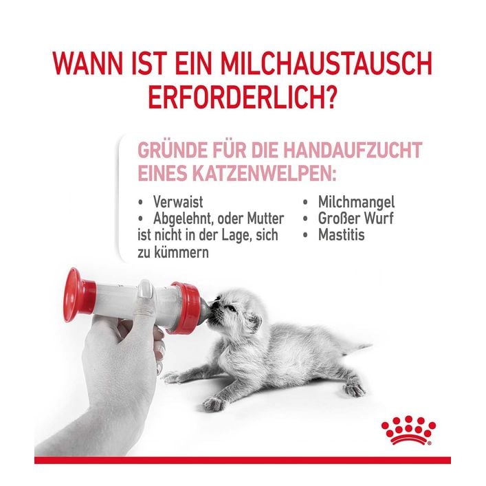 ROYAL CANIN Babycat Milk, 300 g | Dehner