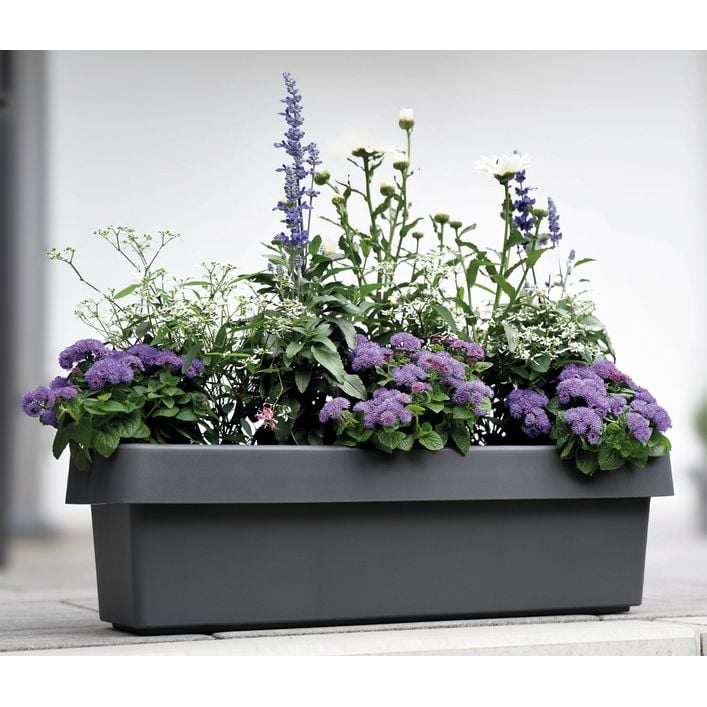 Geli Kunststoff-Blumenkasten Viva, inkl. | Dehner