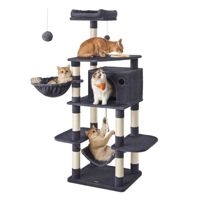 katzentoilette geruchsfrei Bactador Enzymreiniger fr Katzenurin