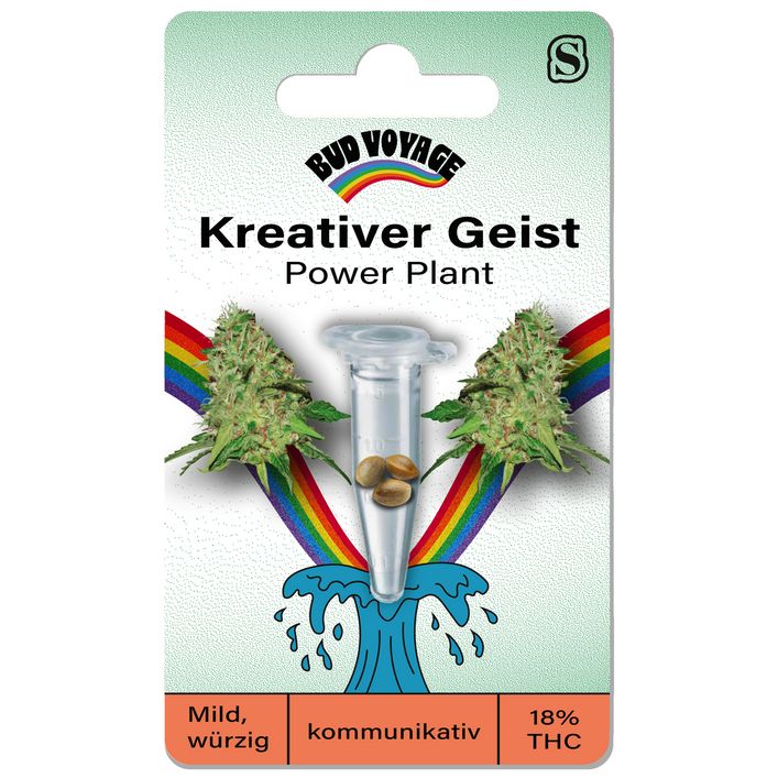 cali weed plant Cali Kush Seeds  Premium Cultivars