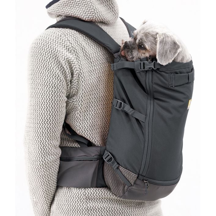 RUFFWEAR Hunde-Rucksacktrage Hitch Hiker | Dehner