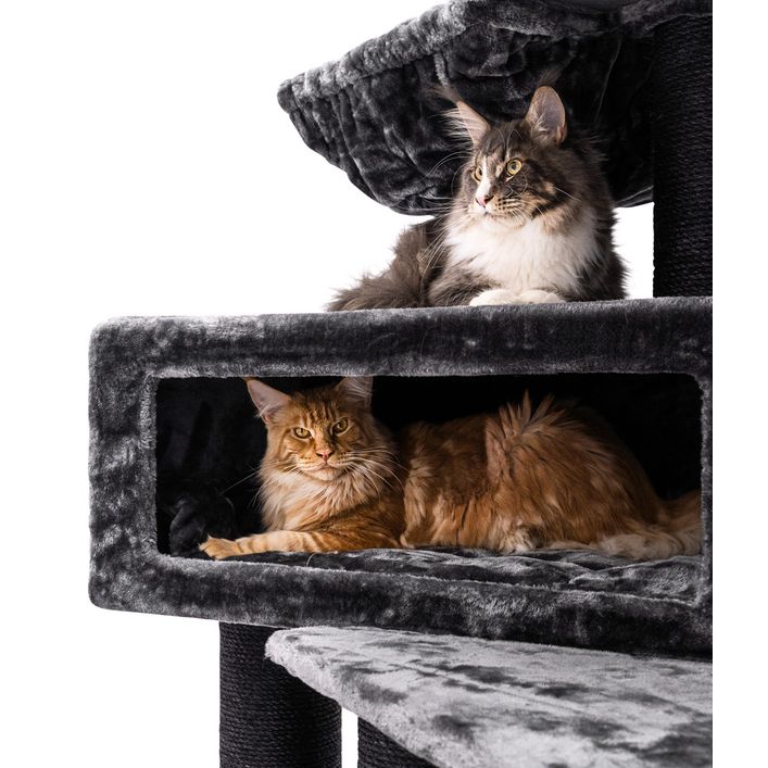 Petrebels Virgo XXL Kratzbaum Aus Holz, 200cm Hoch – Für Große Katzen (bis 25kg), Mit Hängematten & Sisal