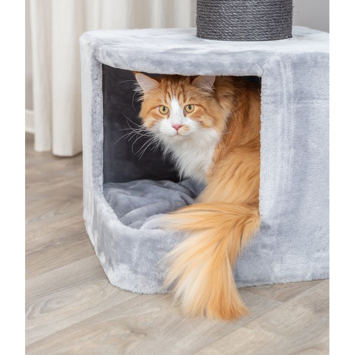 TRIXIE Addison Kratzbaum 90,2 Cm – Mit 2 Höhlen, Sisal-Kratzbäumen, Hängematte & Bett Für Katzen