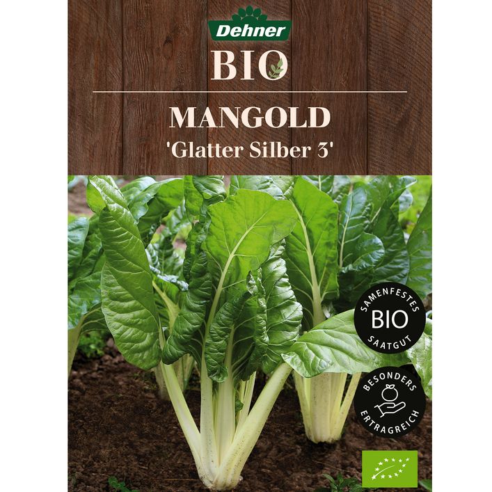 Dehner Bio-Saatgut Mangold 'Glatter Silber 3' | Dehner