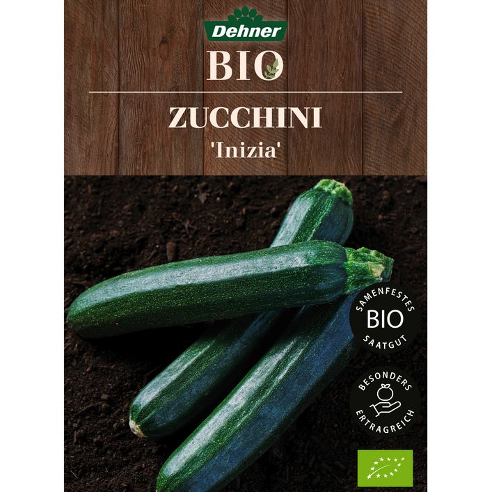 Dehner Bio-Saatgut Zucchini 'Inizia' | Dehner